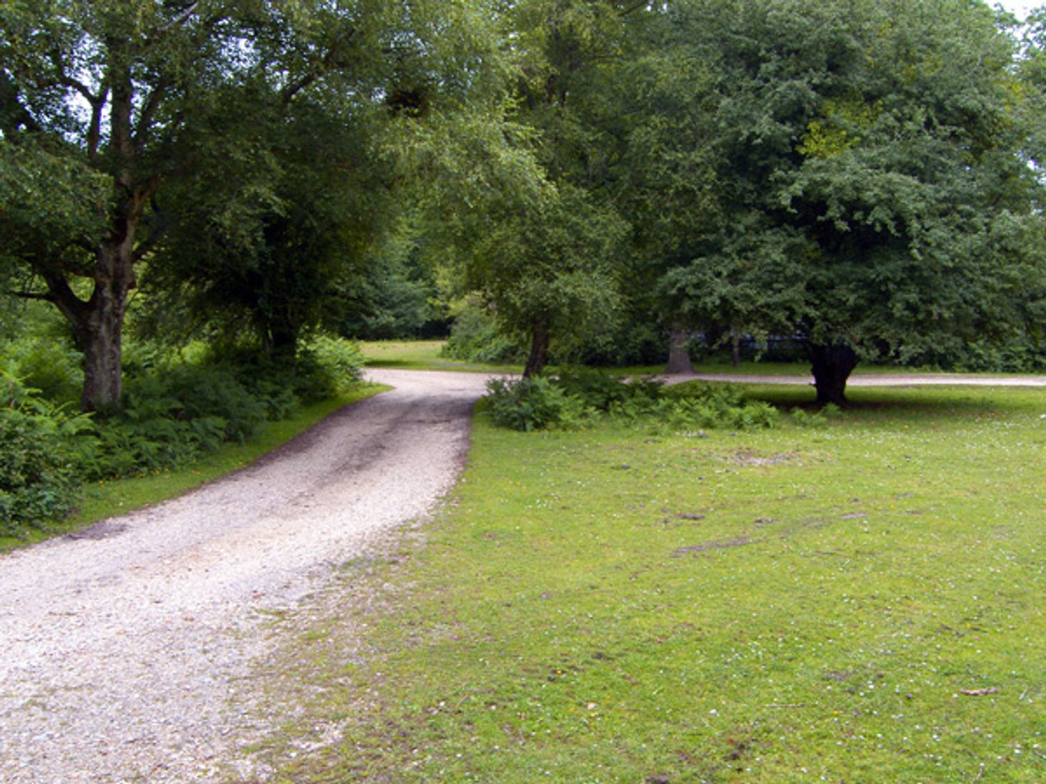 Endymion, South Of England