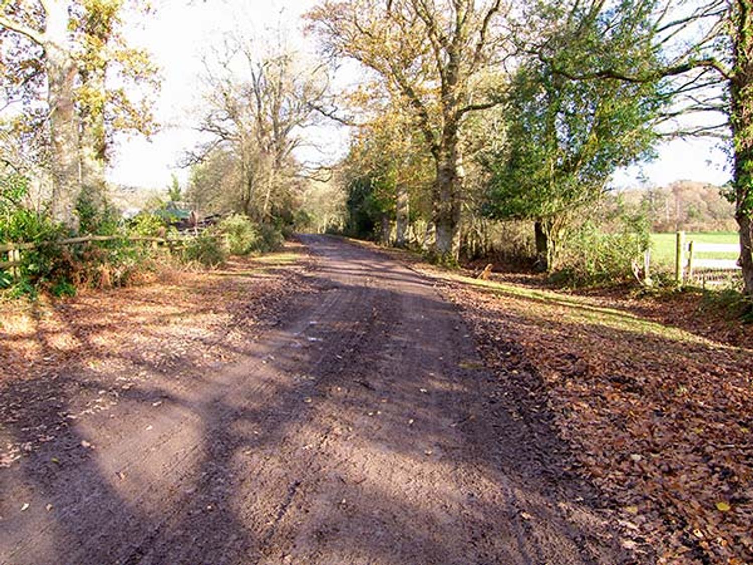 Endymion, South Of England