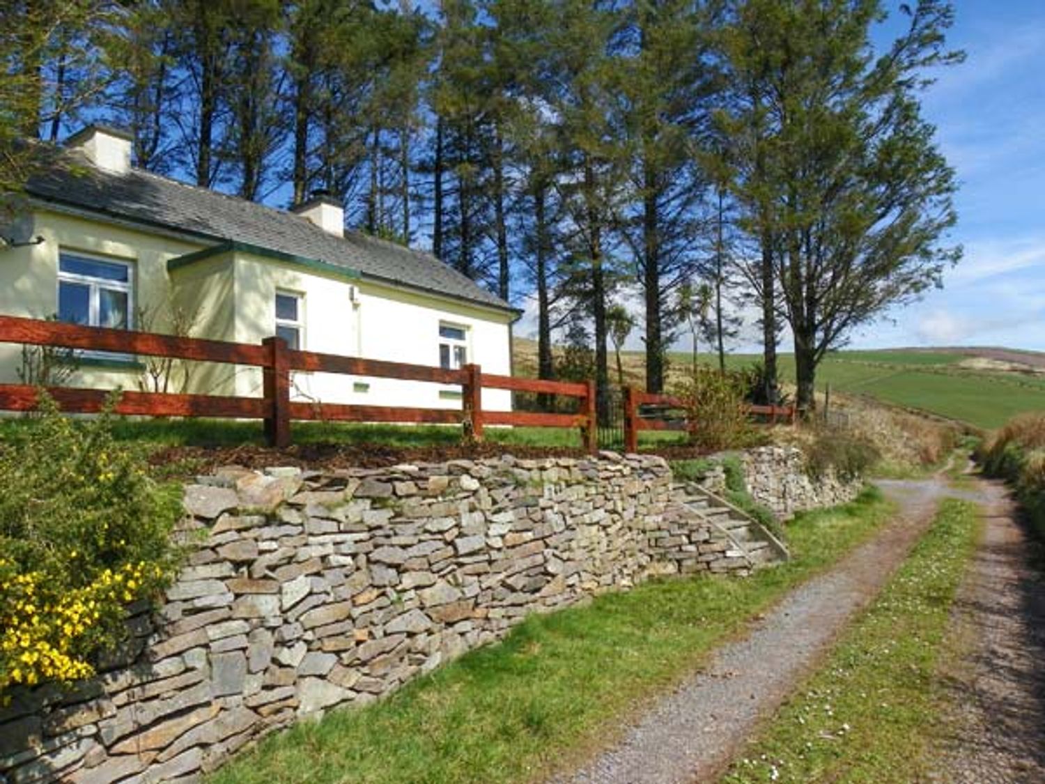 Lilac Cottage - County Kerry - 3645 - photo 1