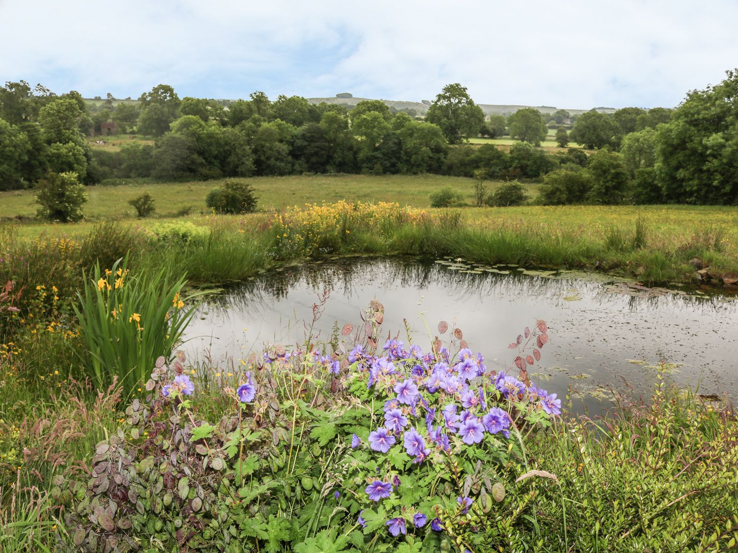 Willow House Cottage, Peak District