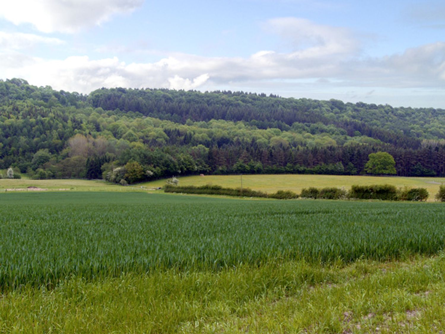 Betty's Barn, Heart Of England