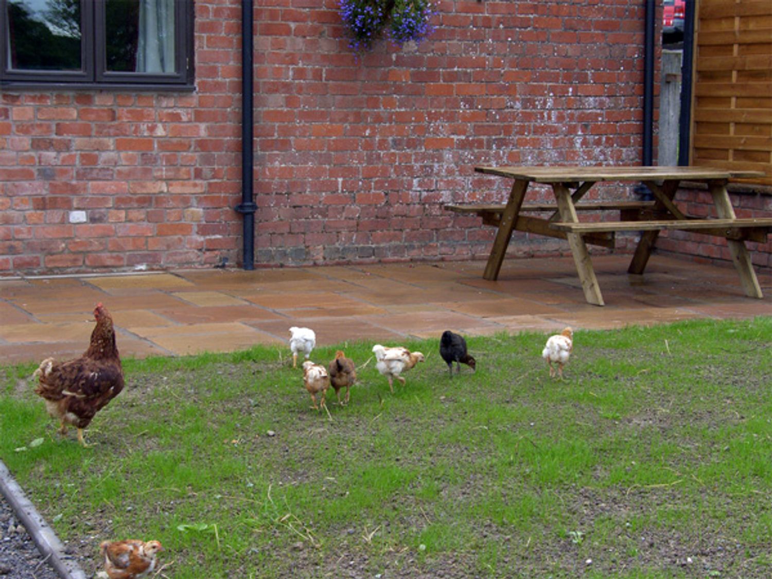 Betty's Barn, Heart Of England