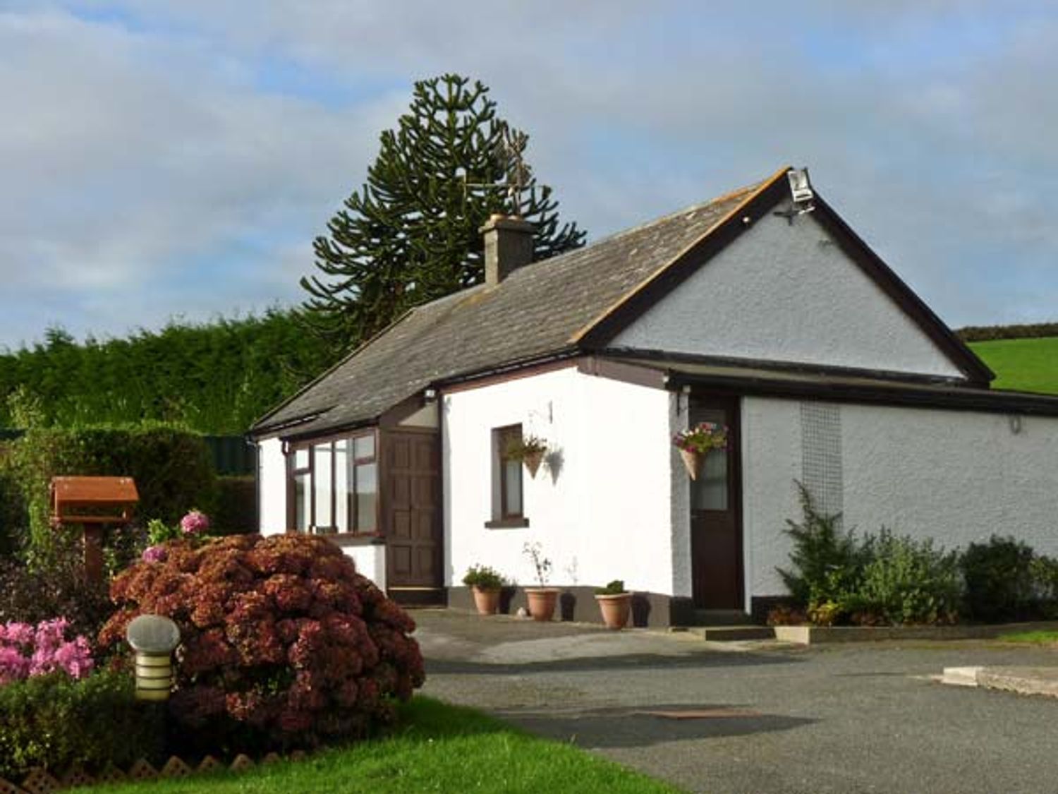Silver Strand Cottage - County Wicklow - 4333 - photo 1