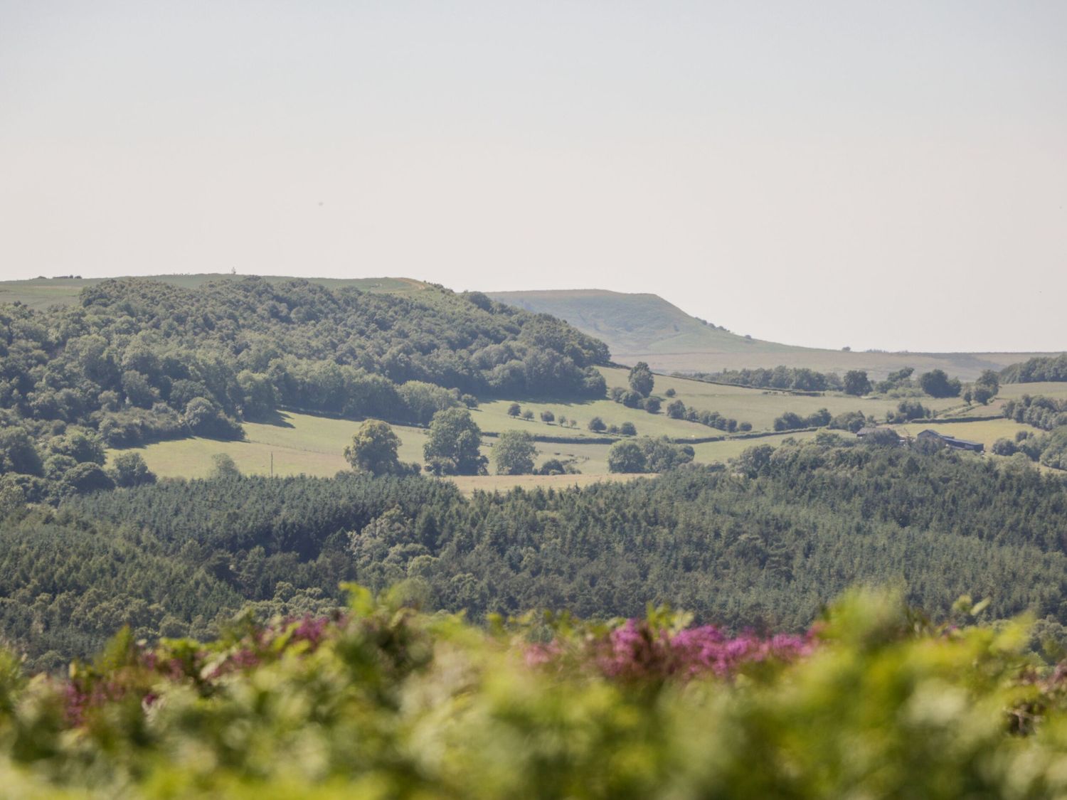 Stillington Cottage, North York Moors and Coast