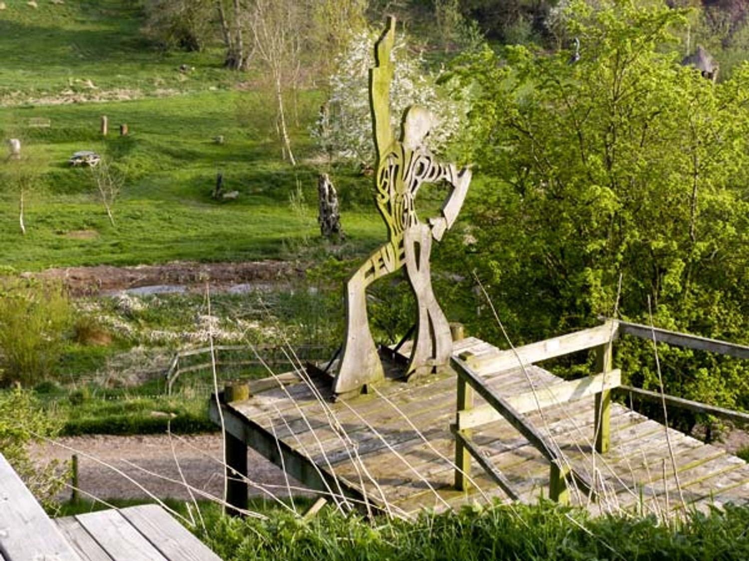 Woodpecker, The Lake District and Cumbria