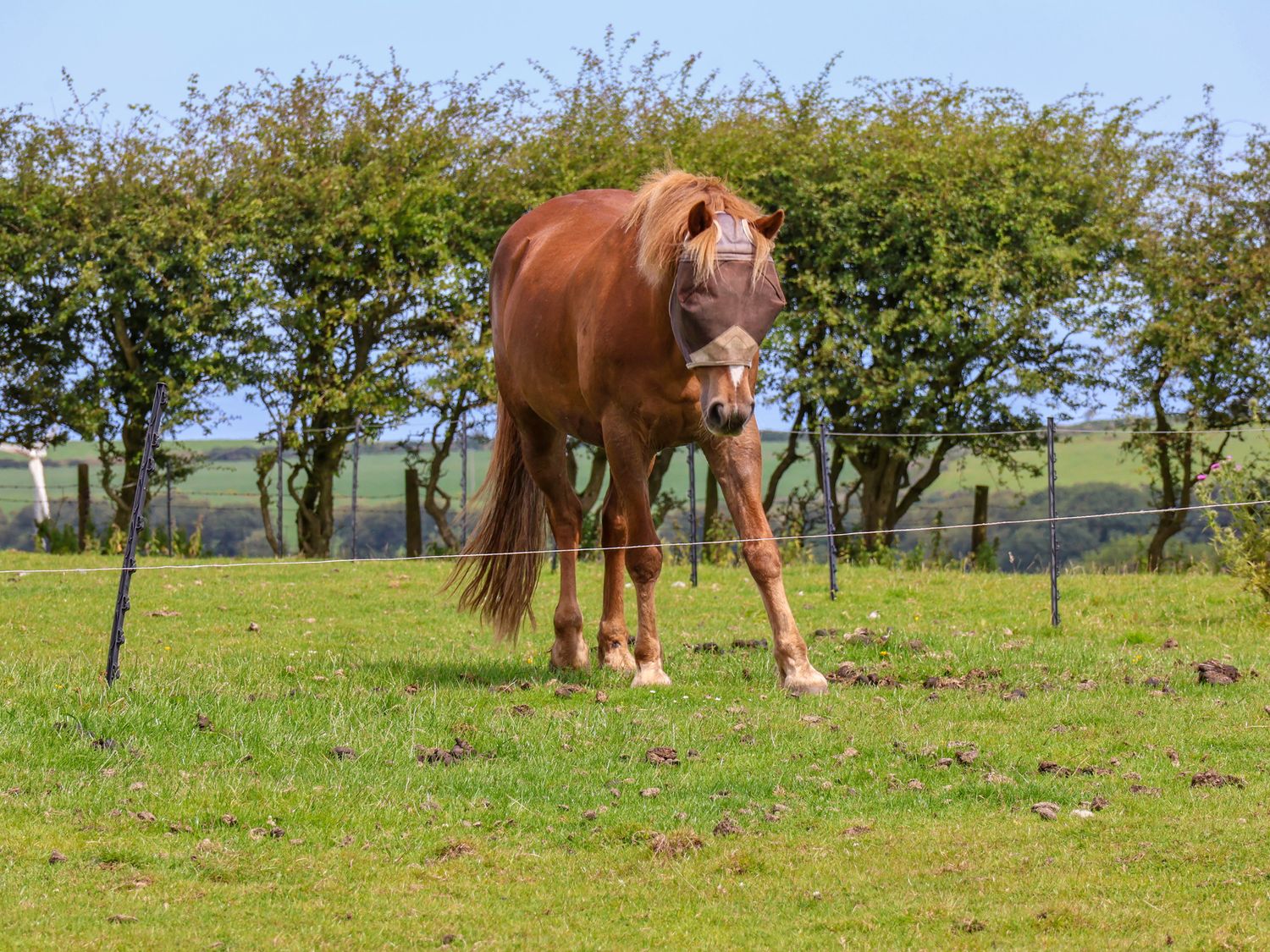 Dairy Cottage, North York Moors and Coast