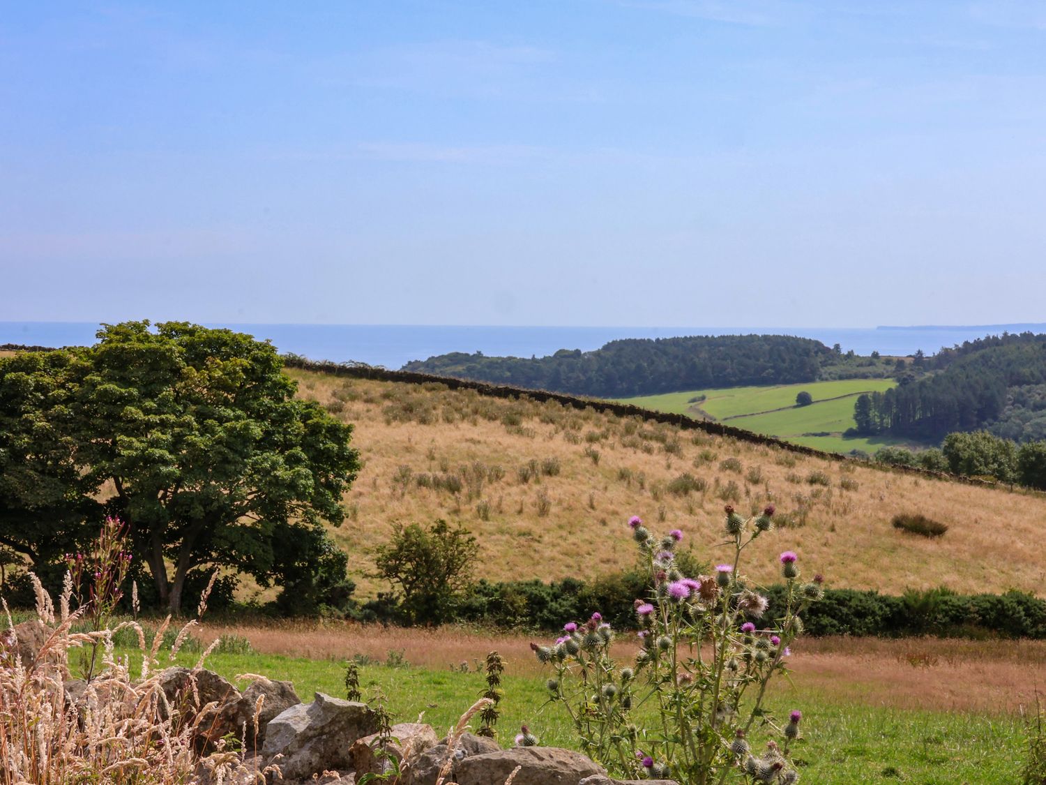 Dairy Cottage, North York Moors and Coast