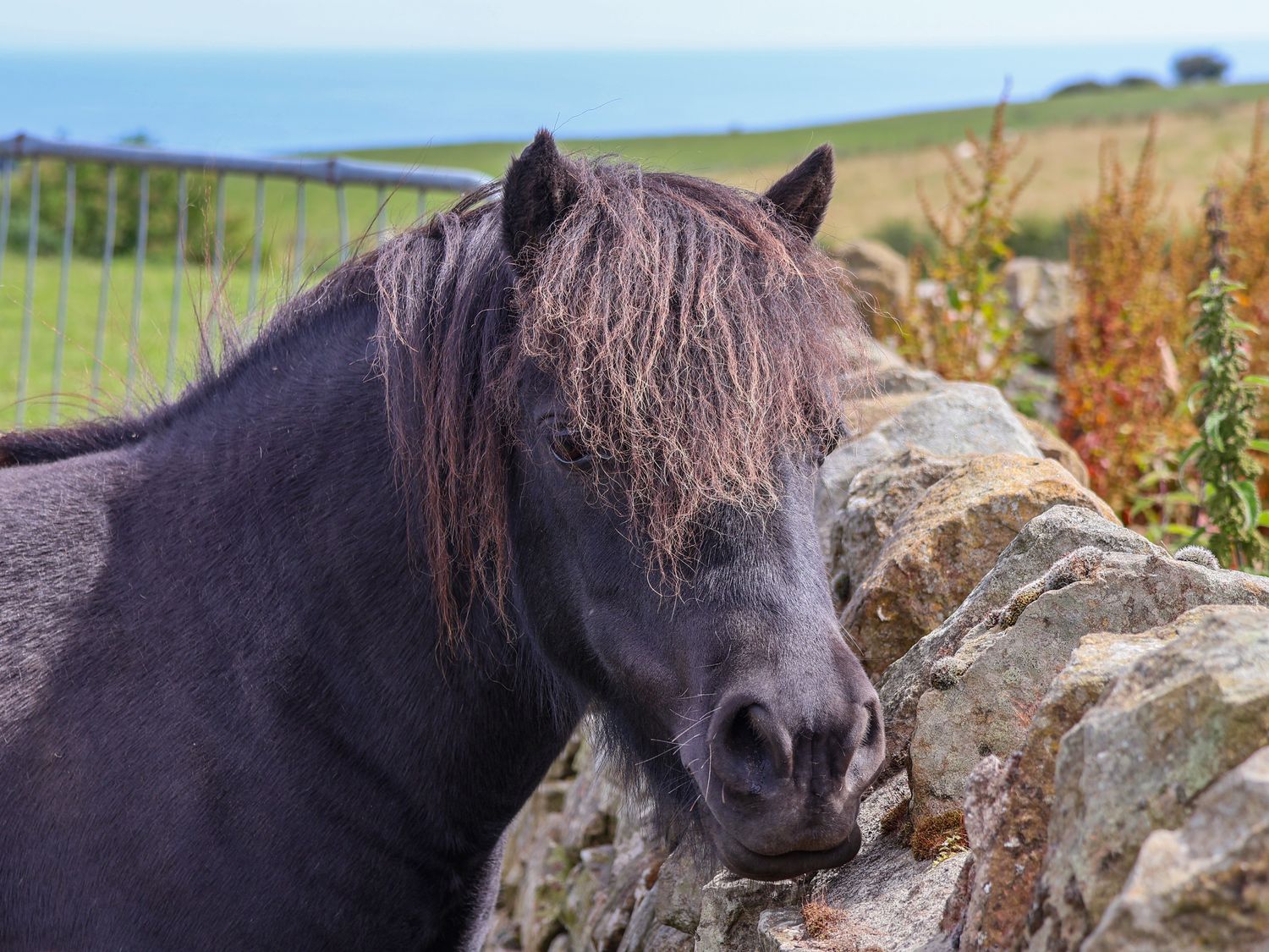 Dairy Cottage, North York Moors and Coast