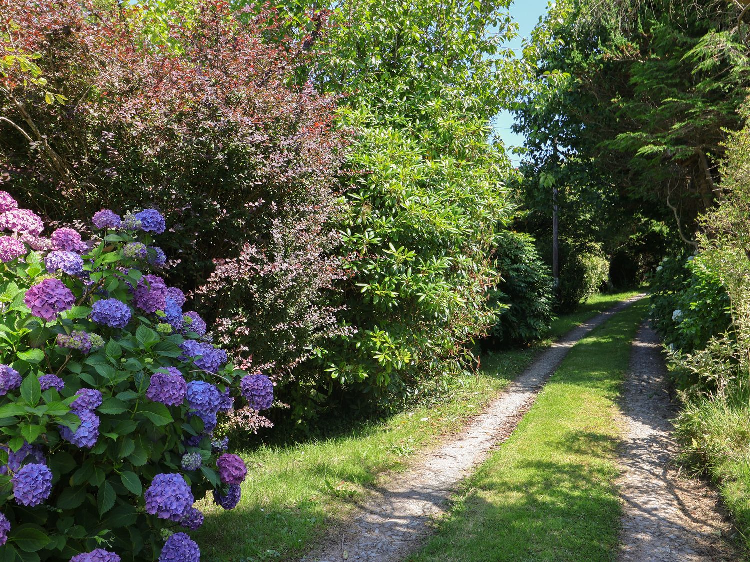 Spring Cottage, Devon