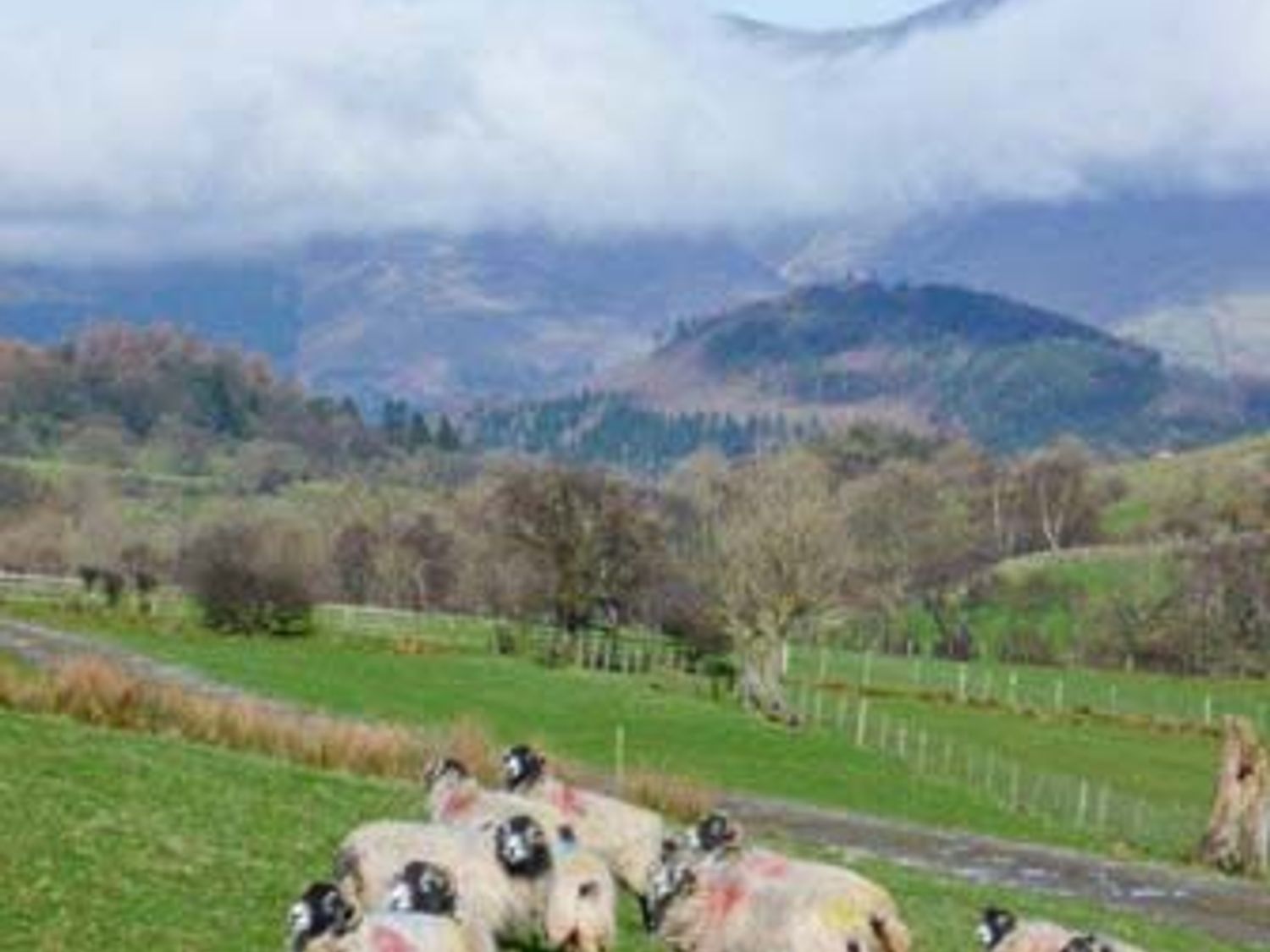 The Hayloft, The Lake District and Cumbria