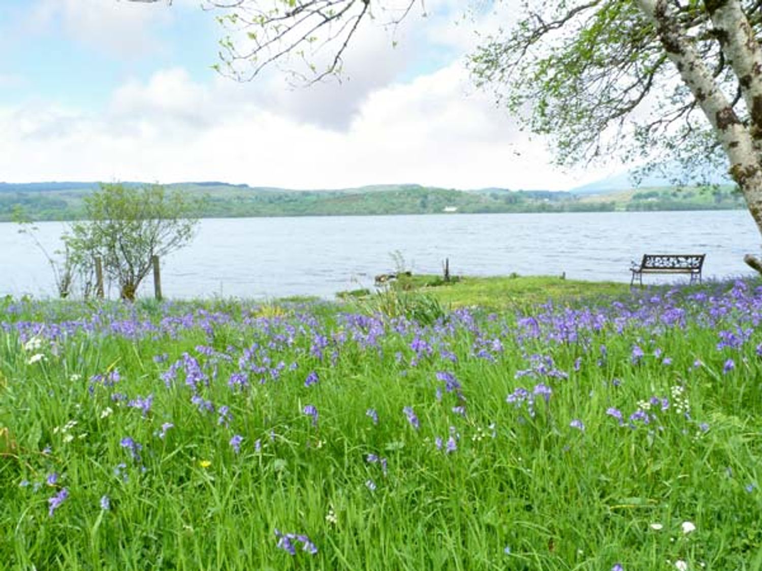 Osprey Lodge, Dalmally