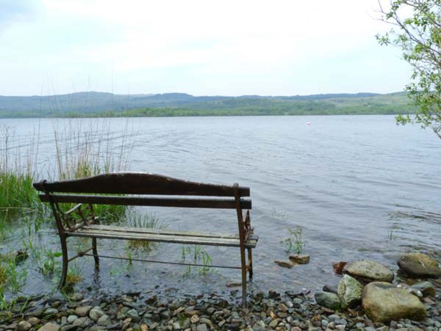 Osprey Lodge, Dalmally
