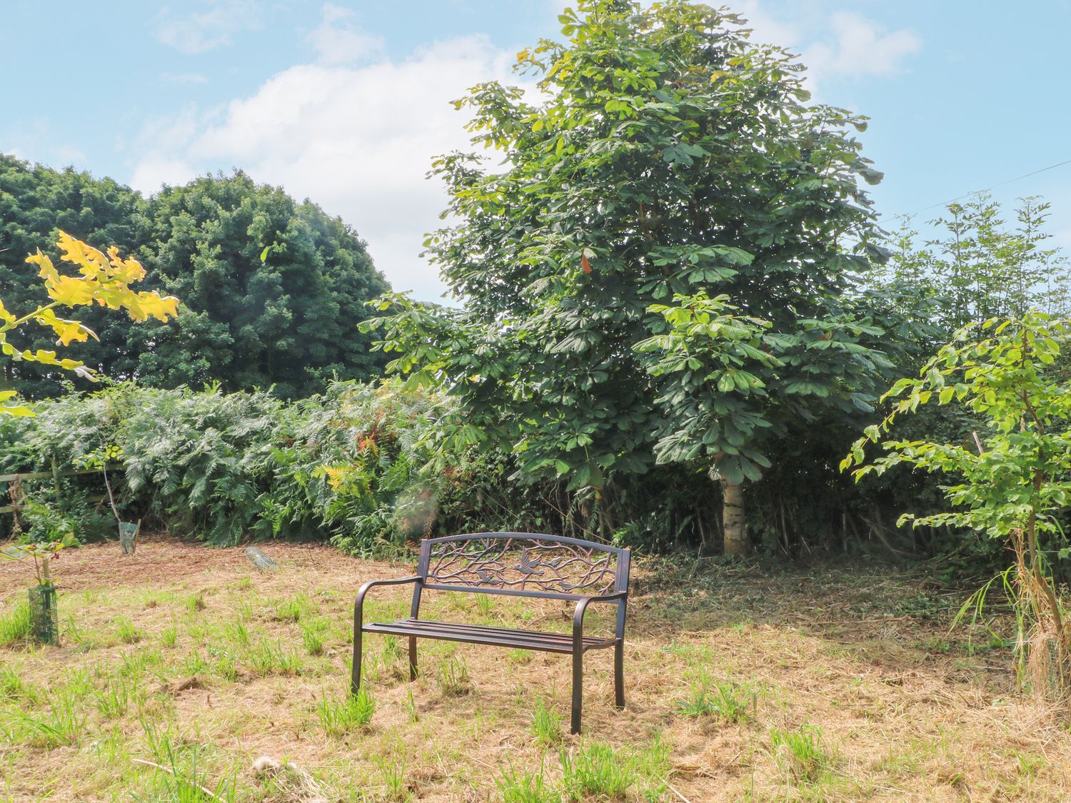 Top Stable Cottage, Derbyshire