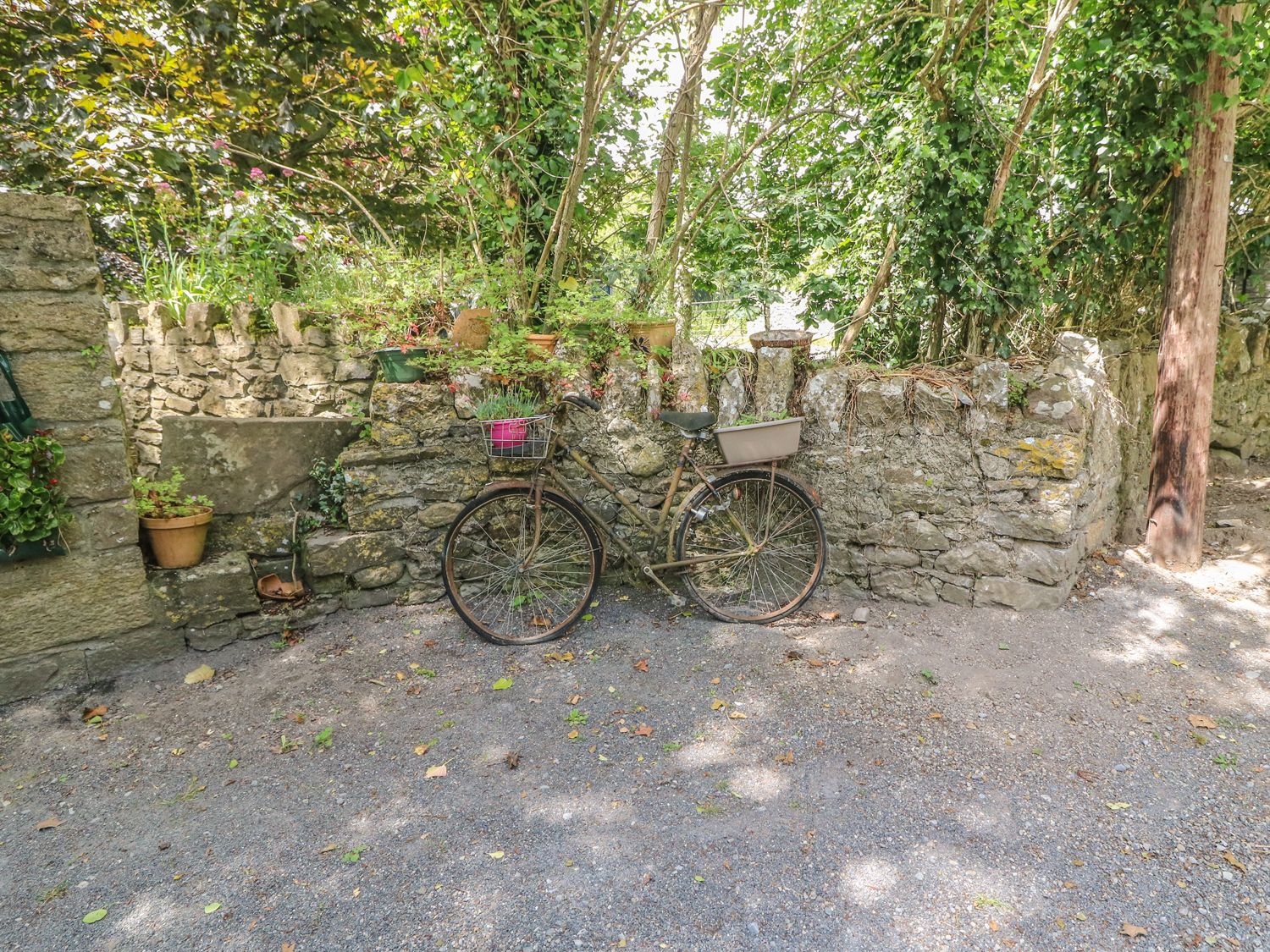 Ryan's Loft, Ireland