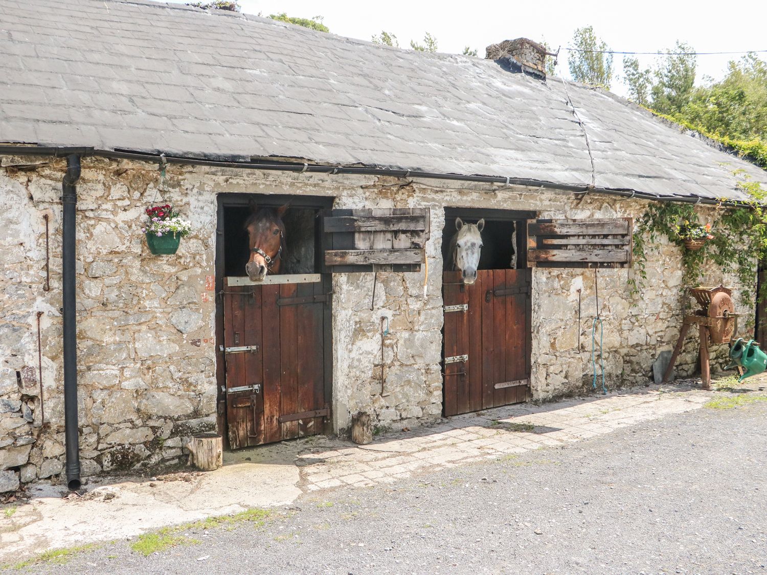 Mrs Delaney's Loft, Ireland