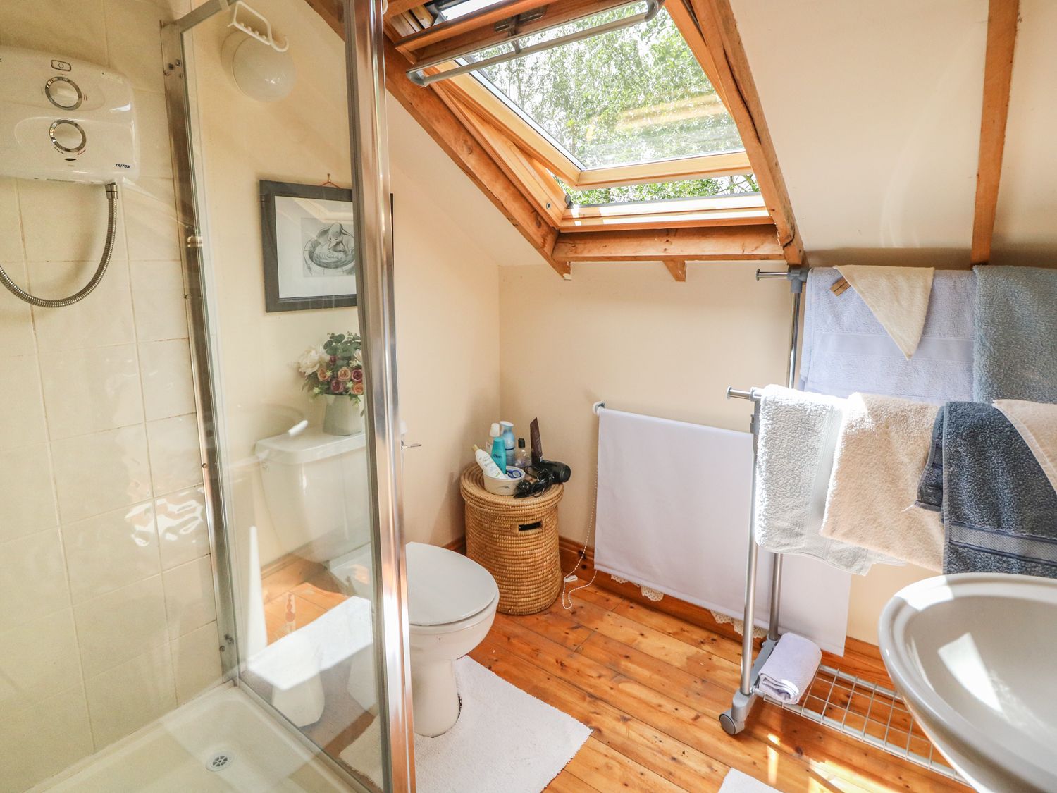 Mrs Delaney's Loft, Ireland