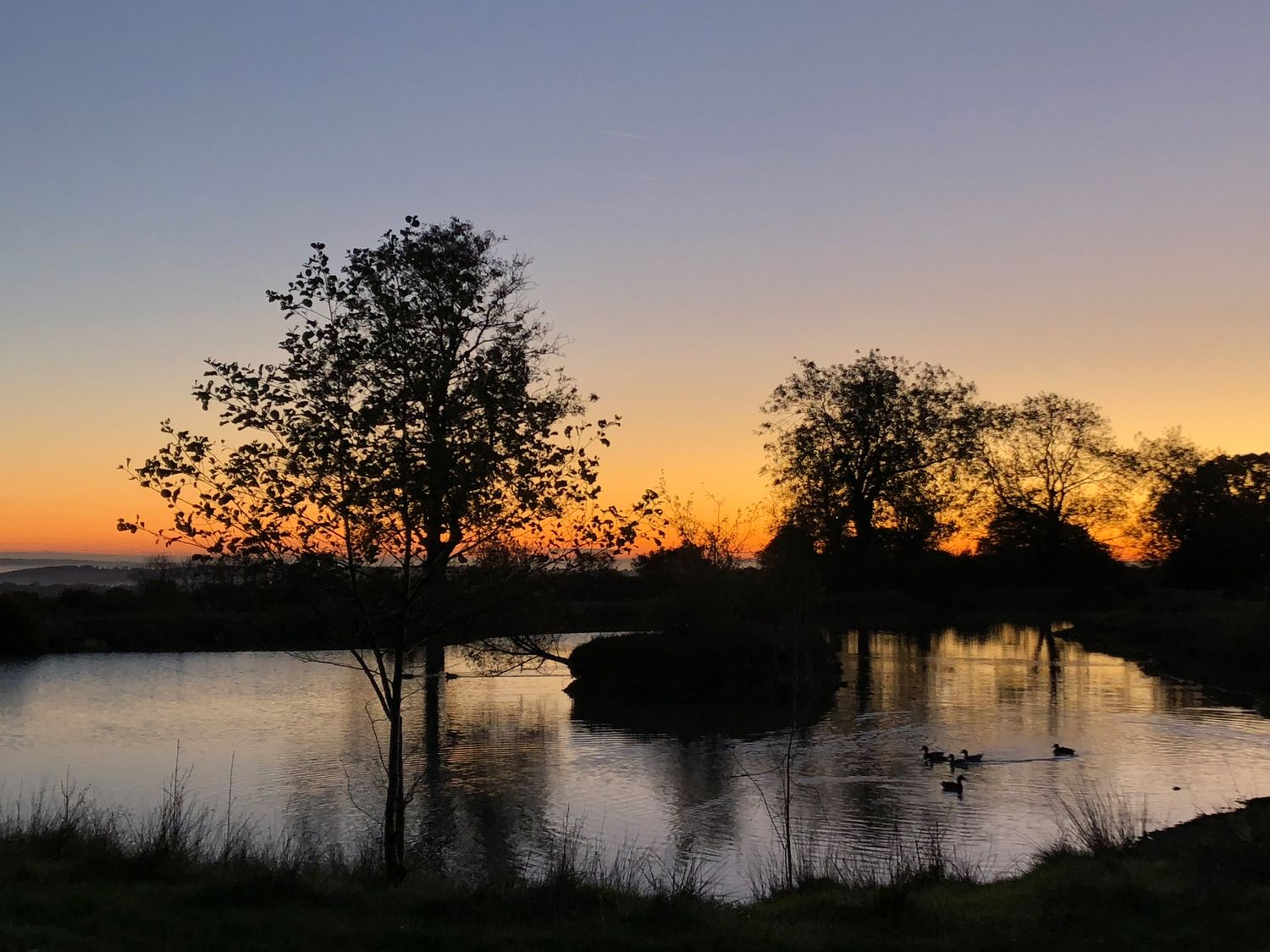 Heron View Lodge, Somerset