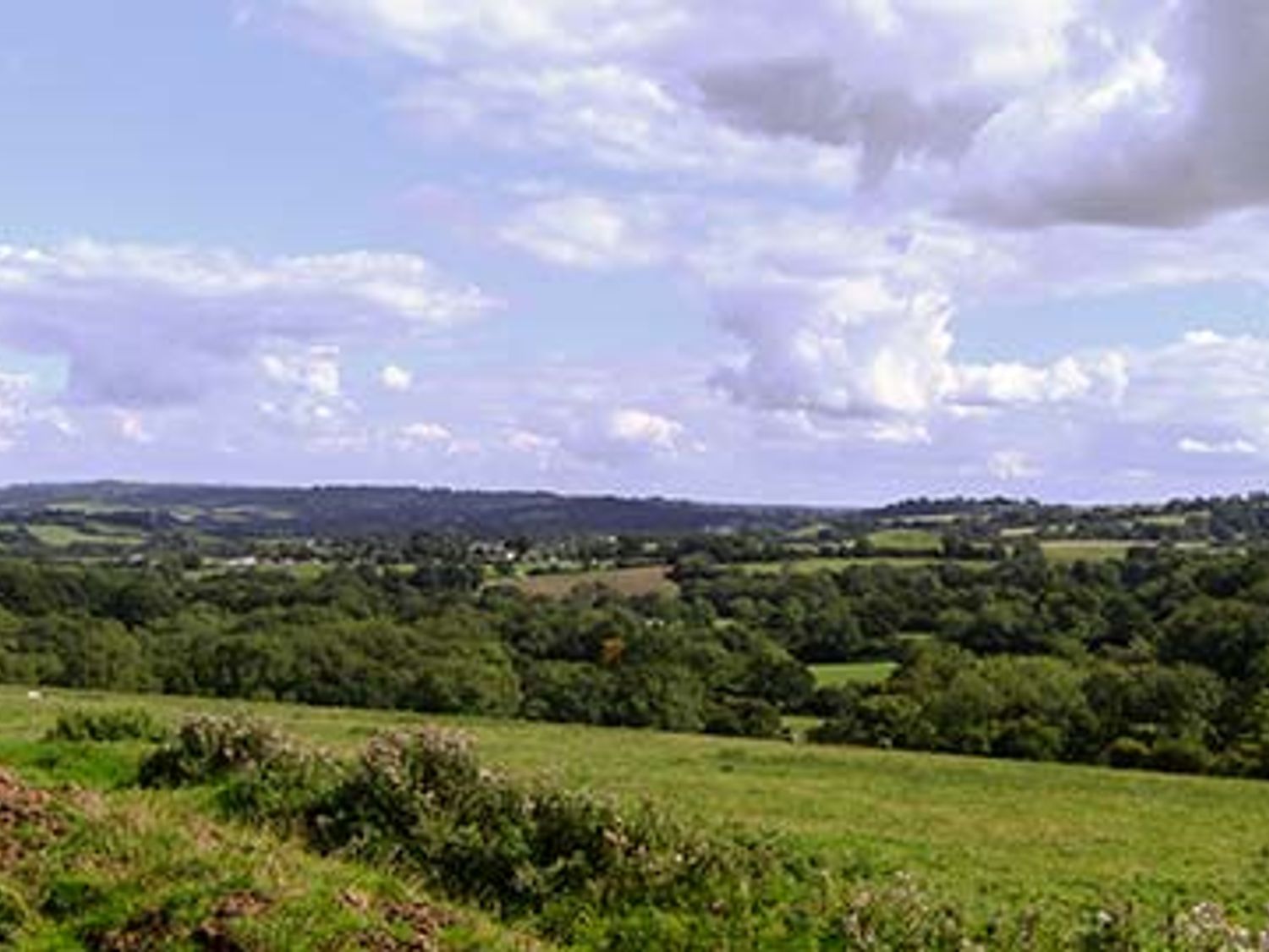 The Barn, Dorset