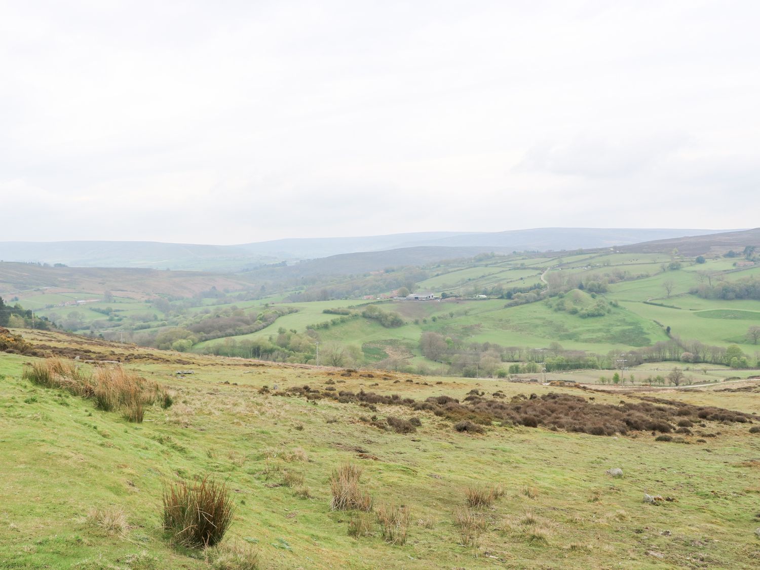 Bee Garth, Yorkshire