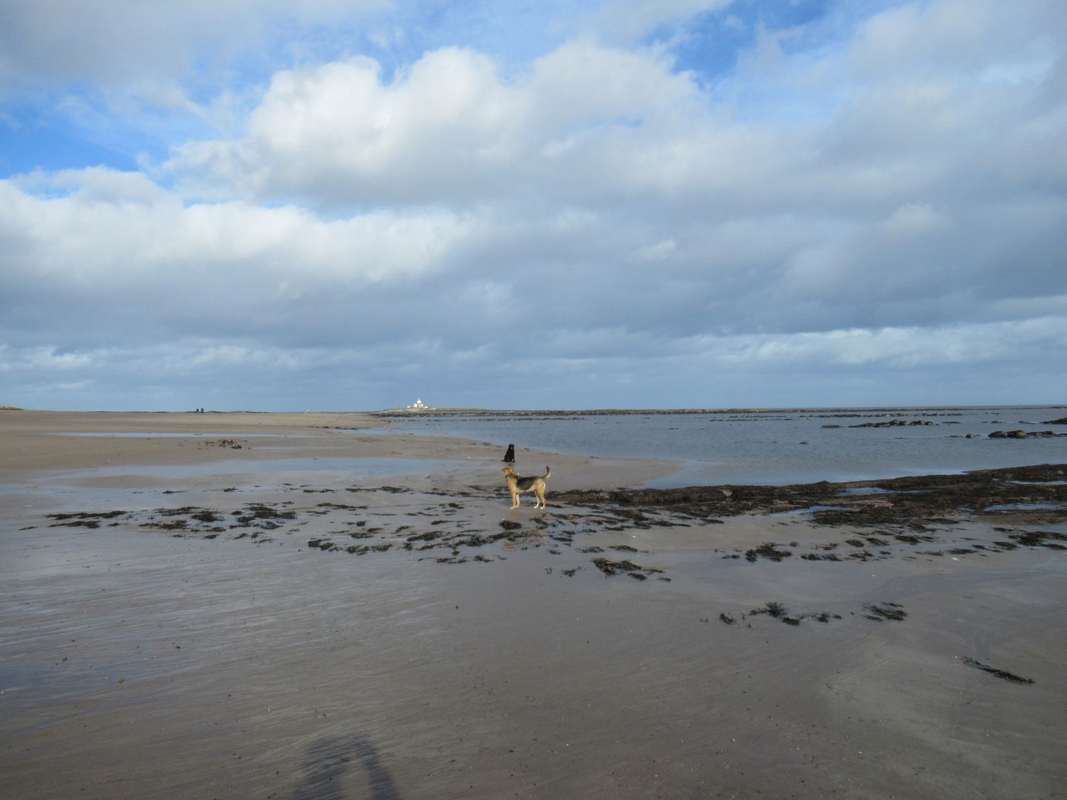 Middle Cottage, High Hauxley 