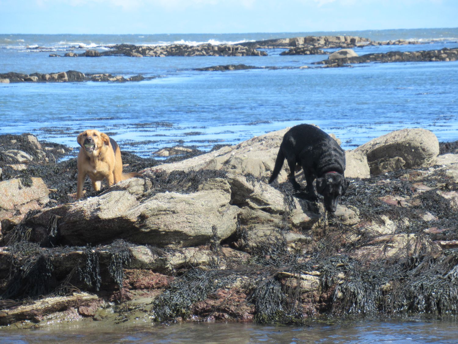 Middle Cottage, High Hauxley 