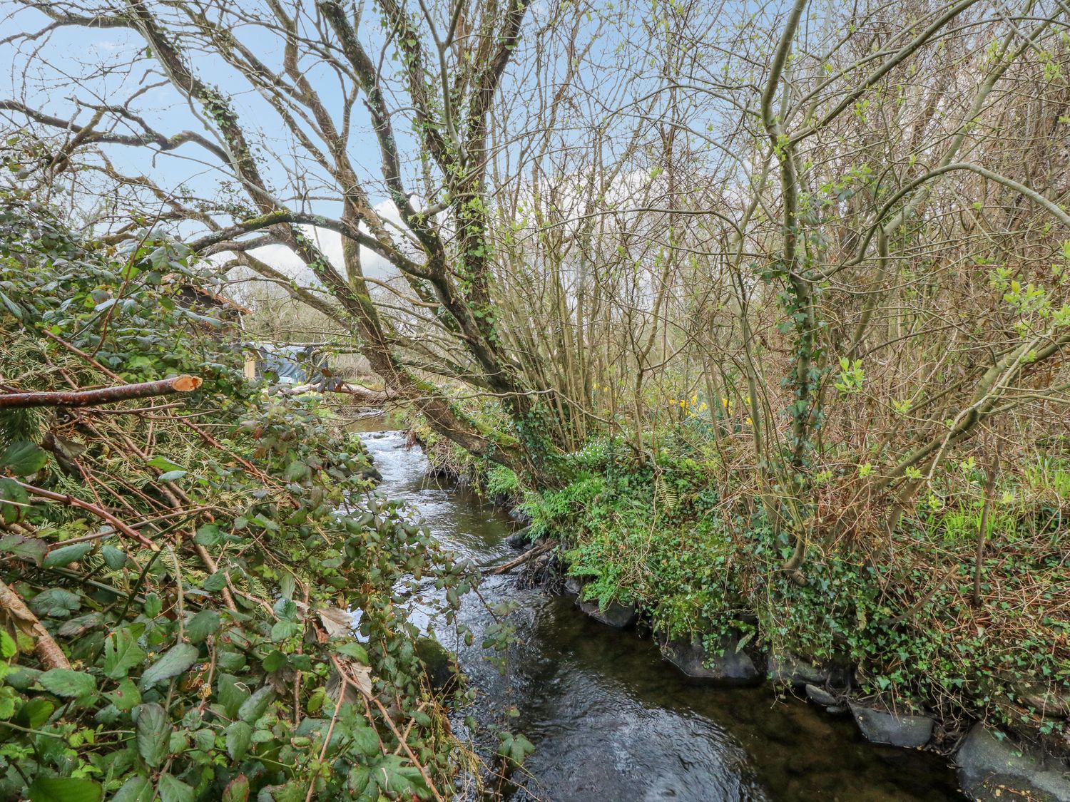Hafan Dawel, Wales