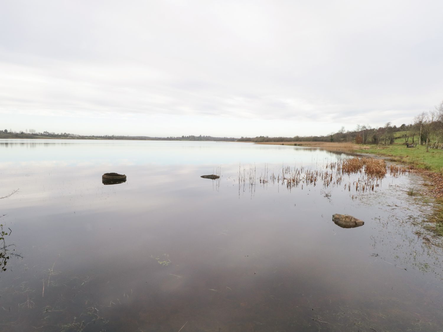 Rose Cottage, Ireland