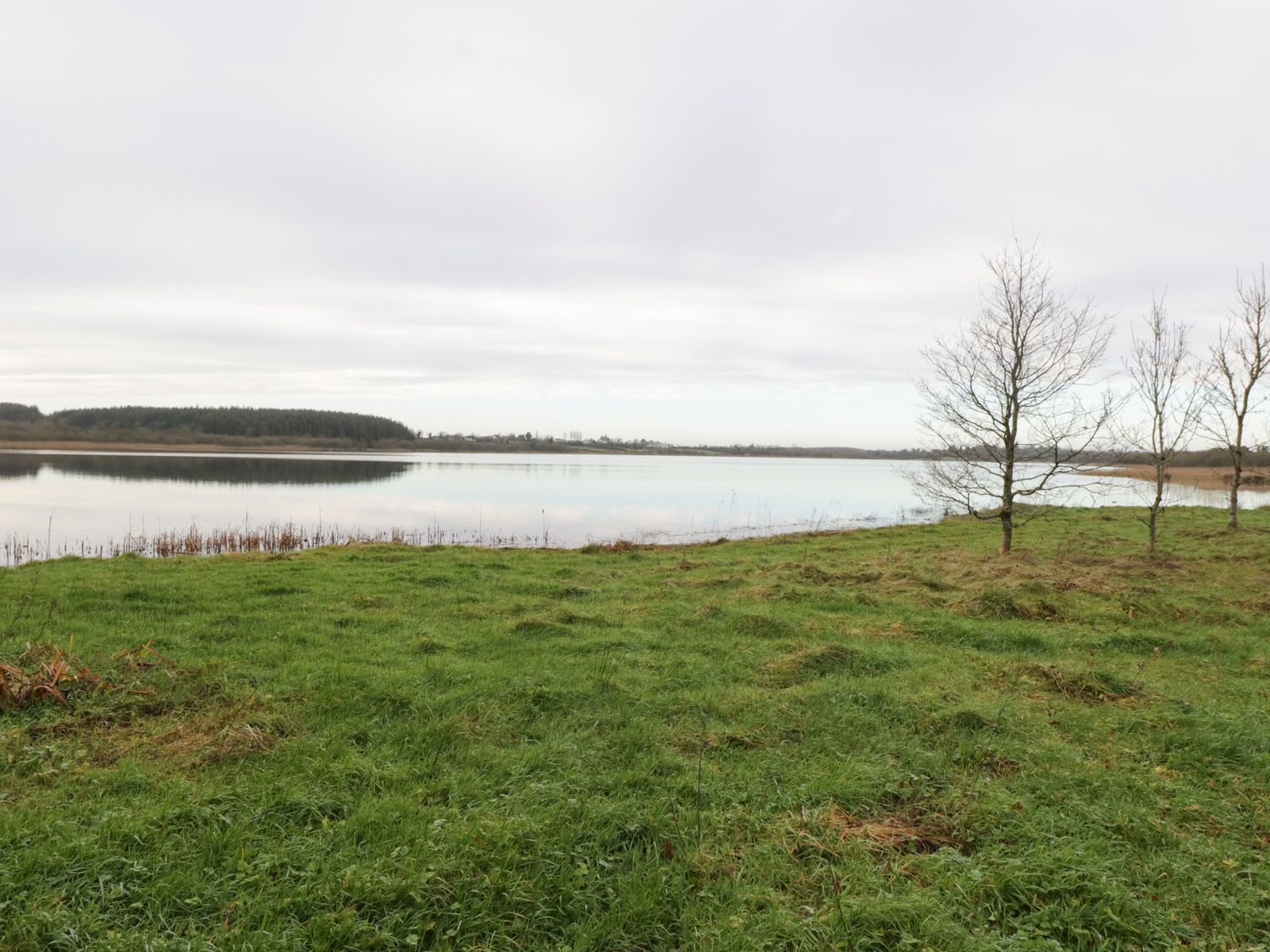 Rose Cottage, Ireland