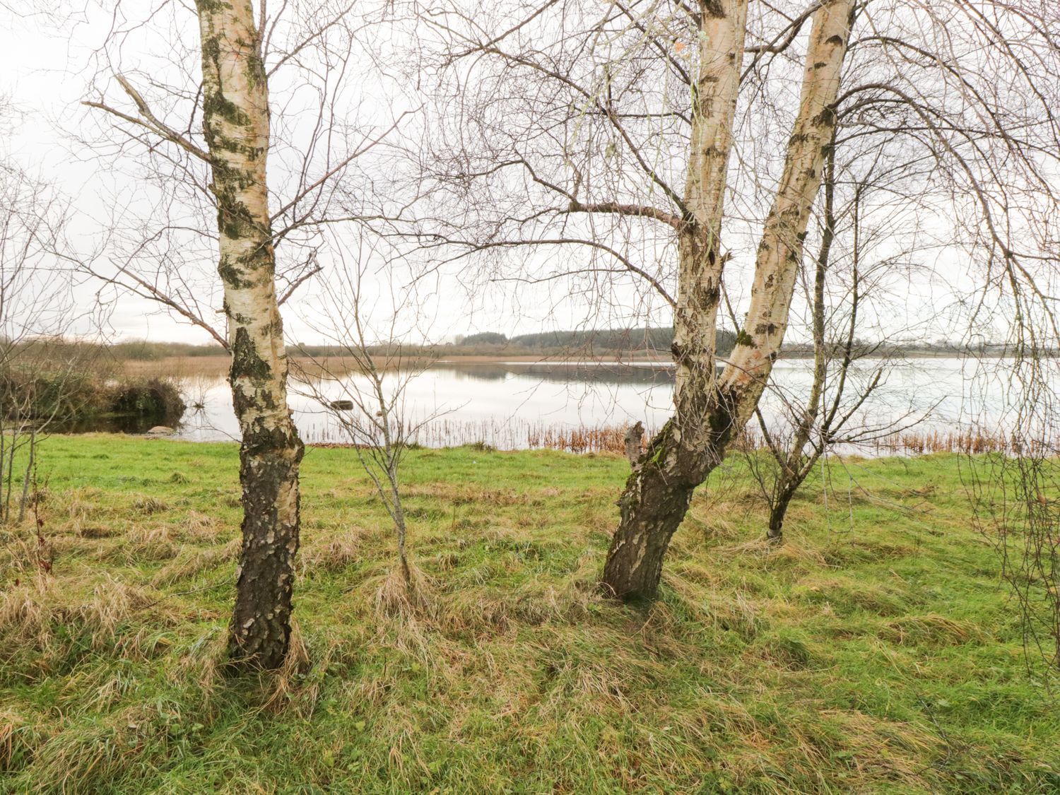 Rose Cottage, Ireland