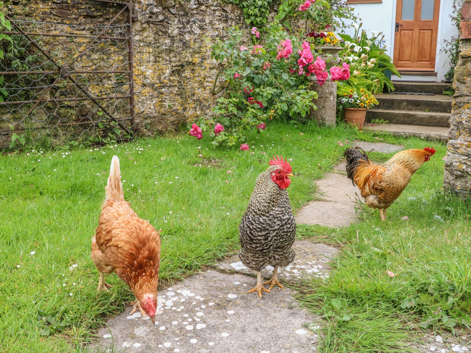 Tom's House, Devon