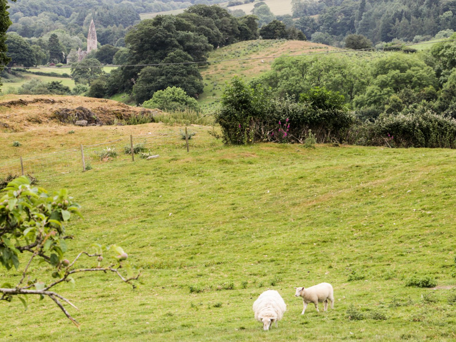 Garth Ucha, Shropshire