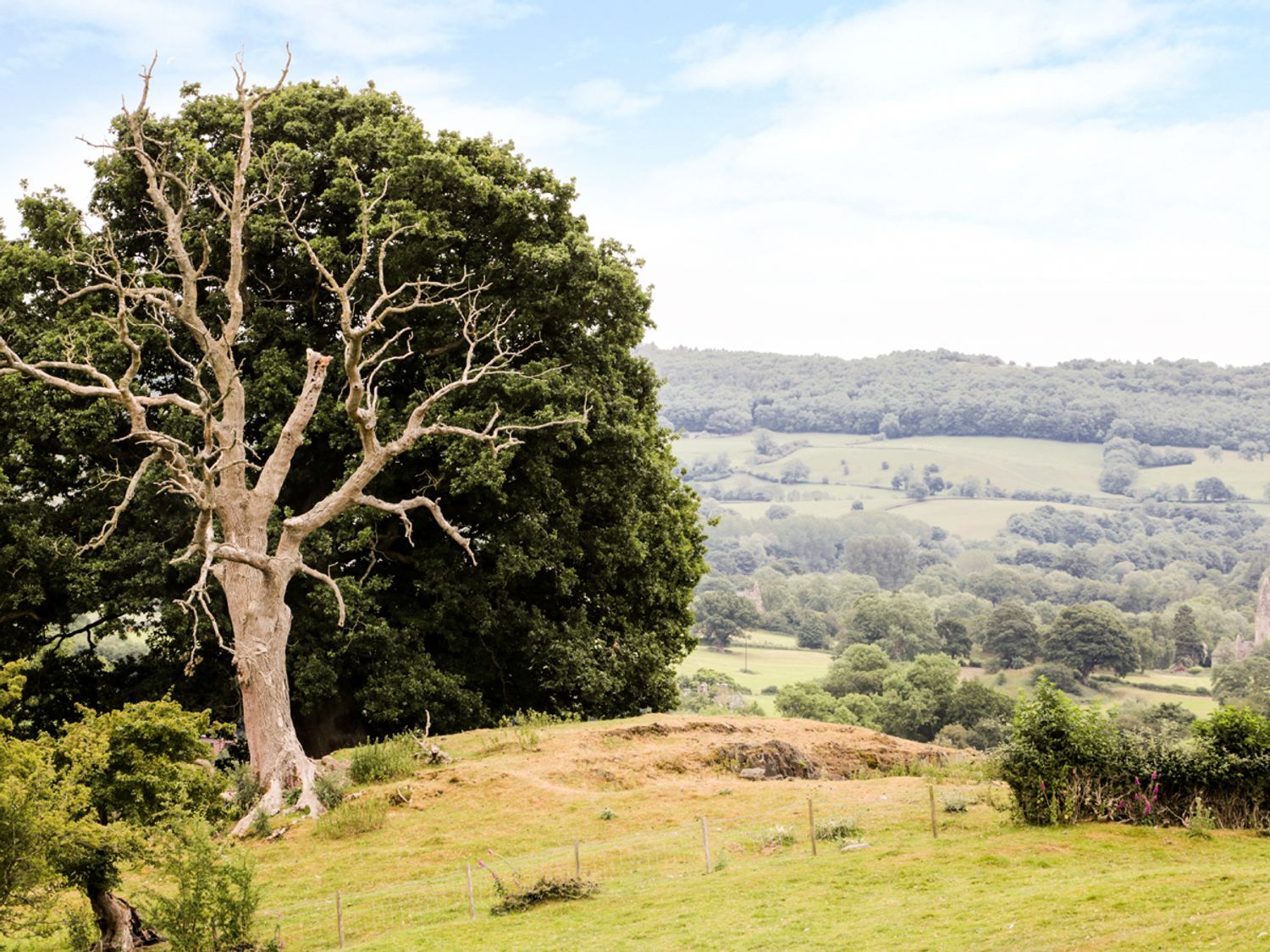 Garth Ucha, Shropshire