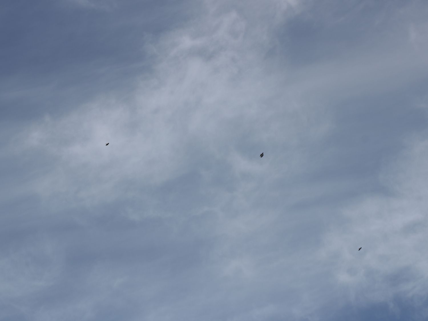 Cupid's Cottage, North York Moors