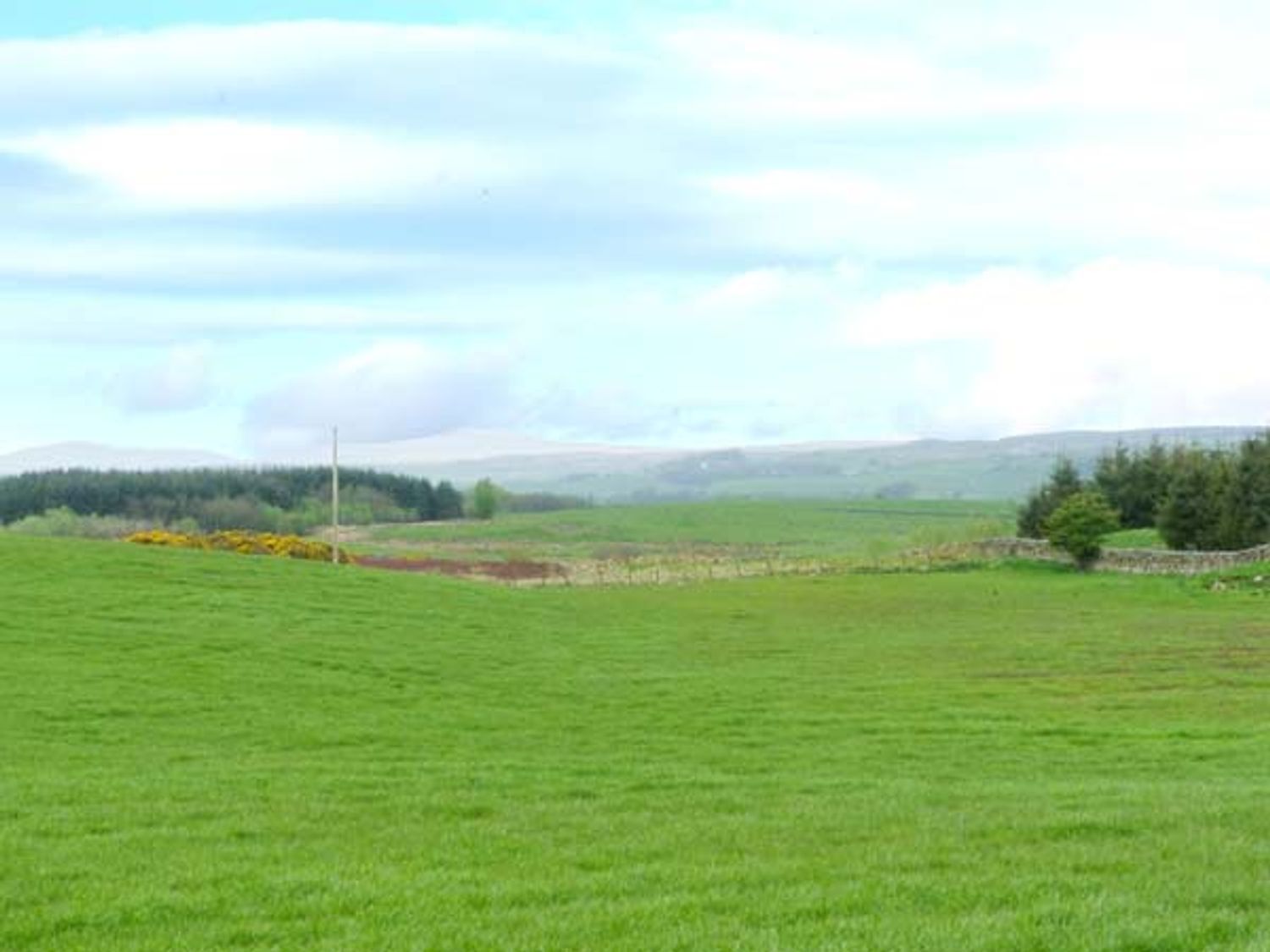 Gamepark Wood, Scotland