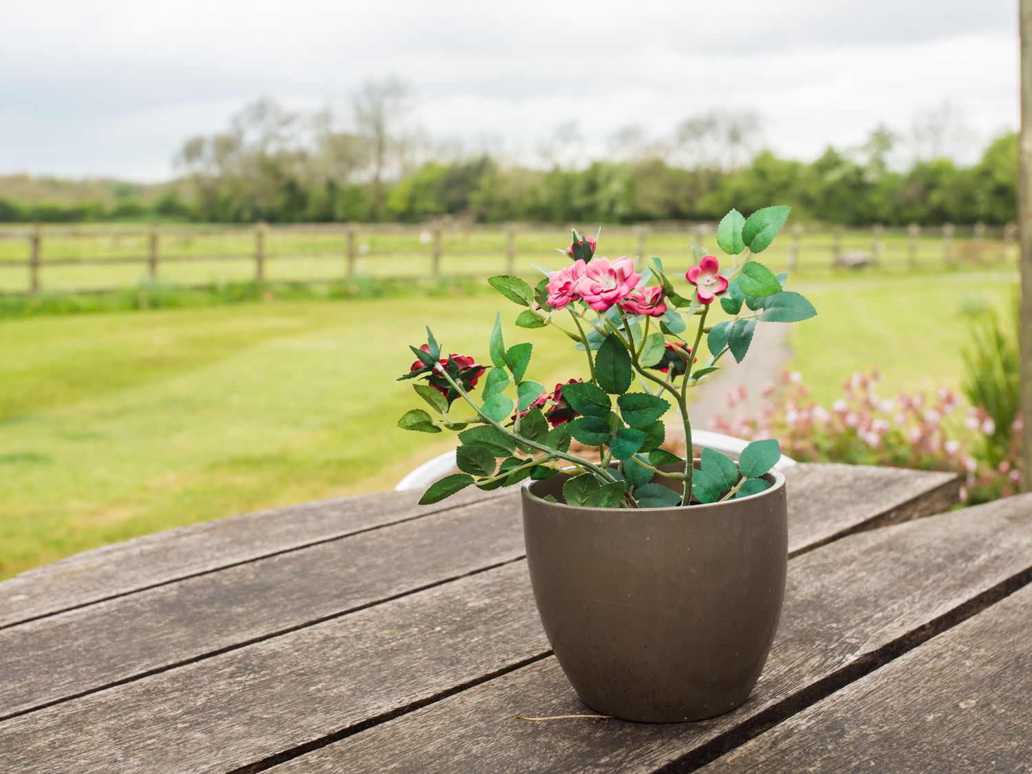 Property photo 18 of 19