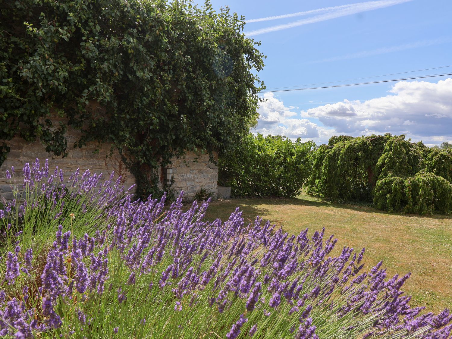 Pear Tree Cottage, Somerset