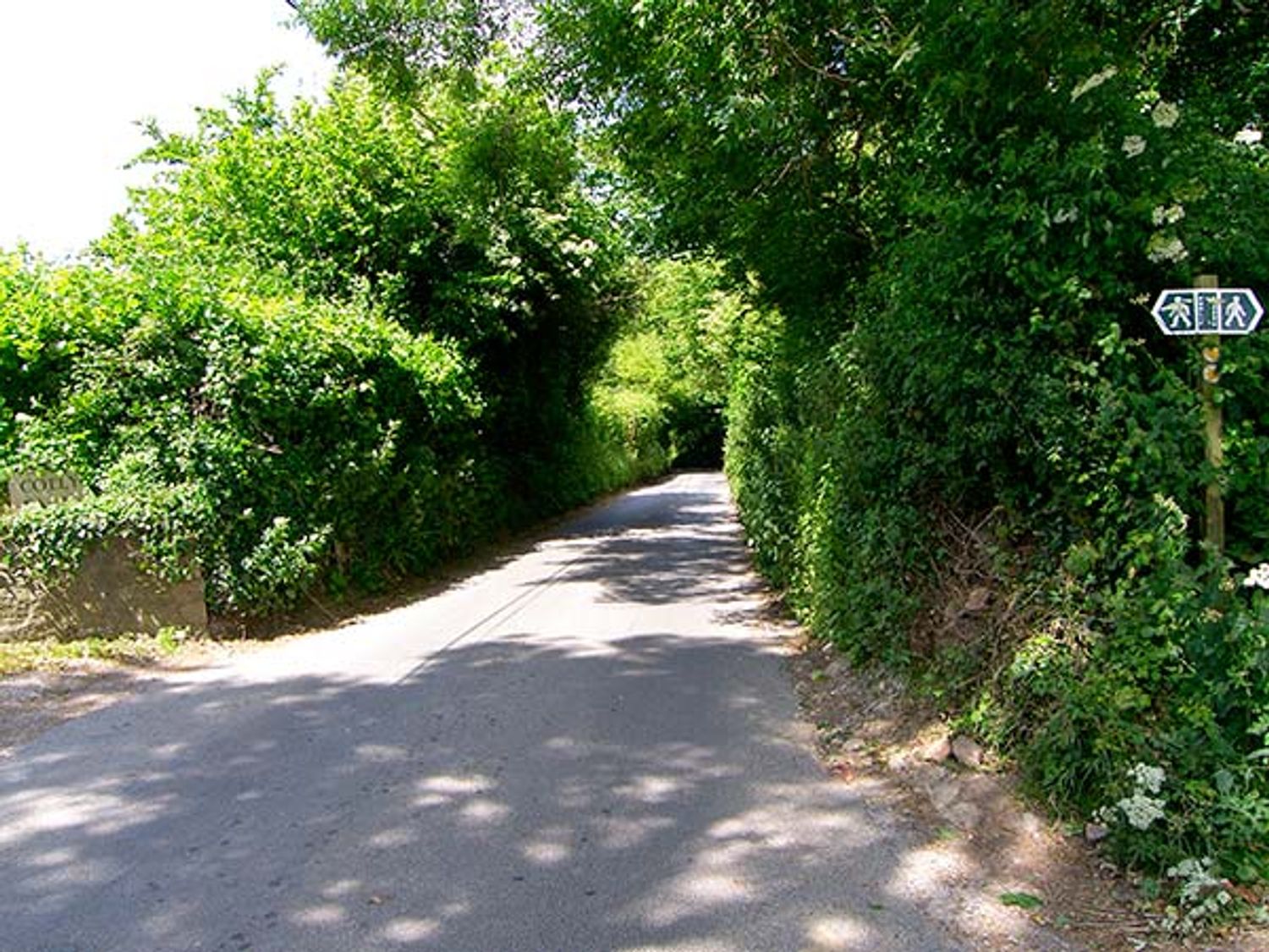 The Old Smithy, Dorset