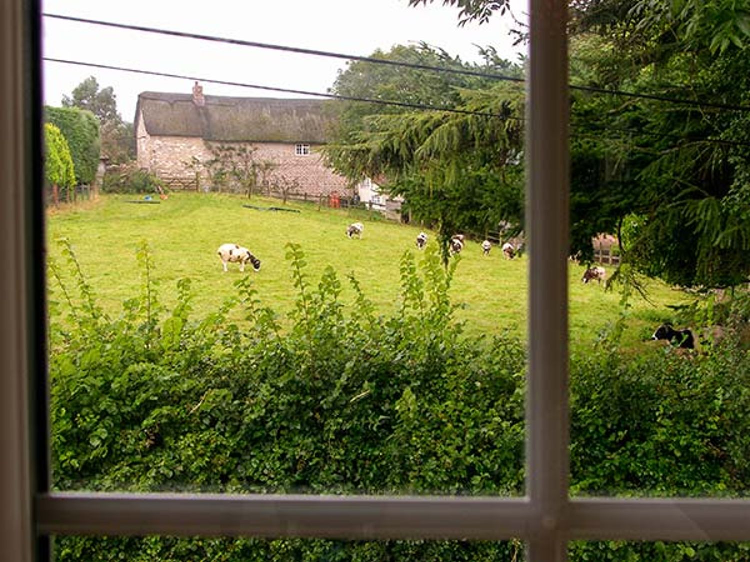 The Old Smithy, Dorset