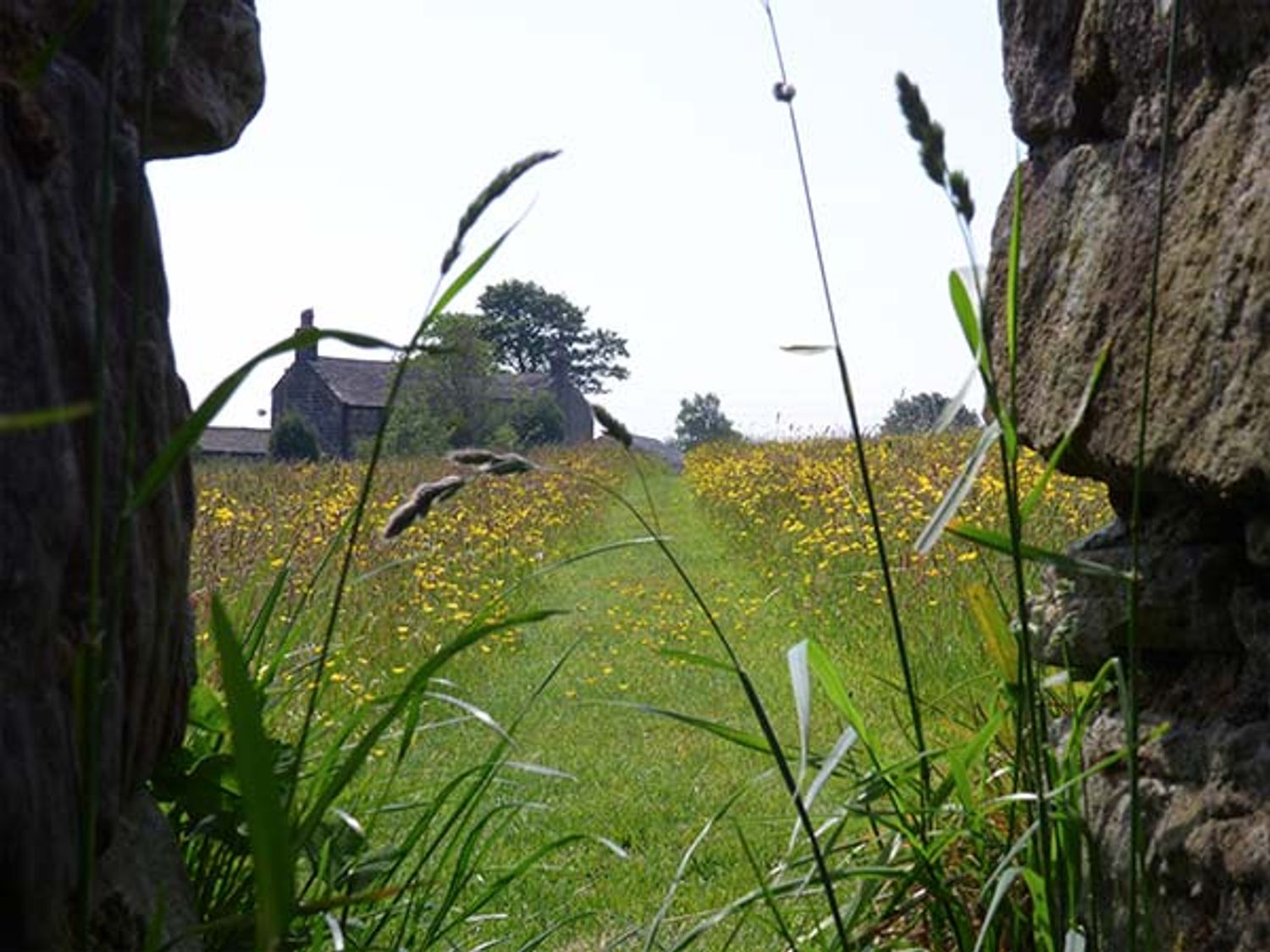The Mistle Carr Farm, Yorkshire Dales Ref 925231