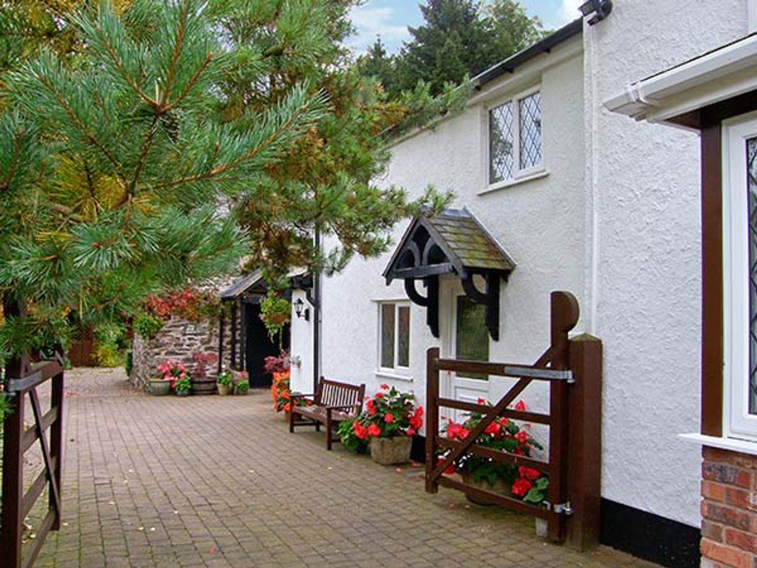 The Little White Cottage - North Wales - 926008 - photo 1