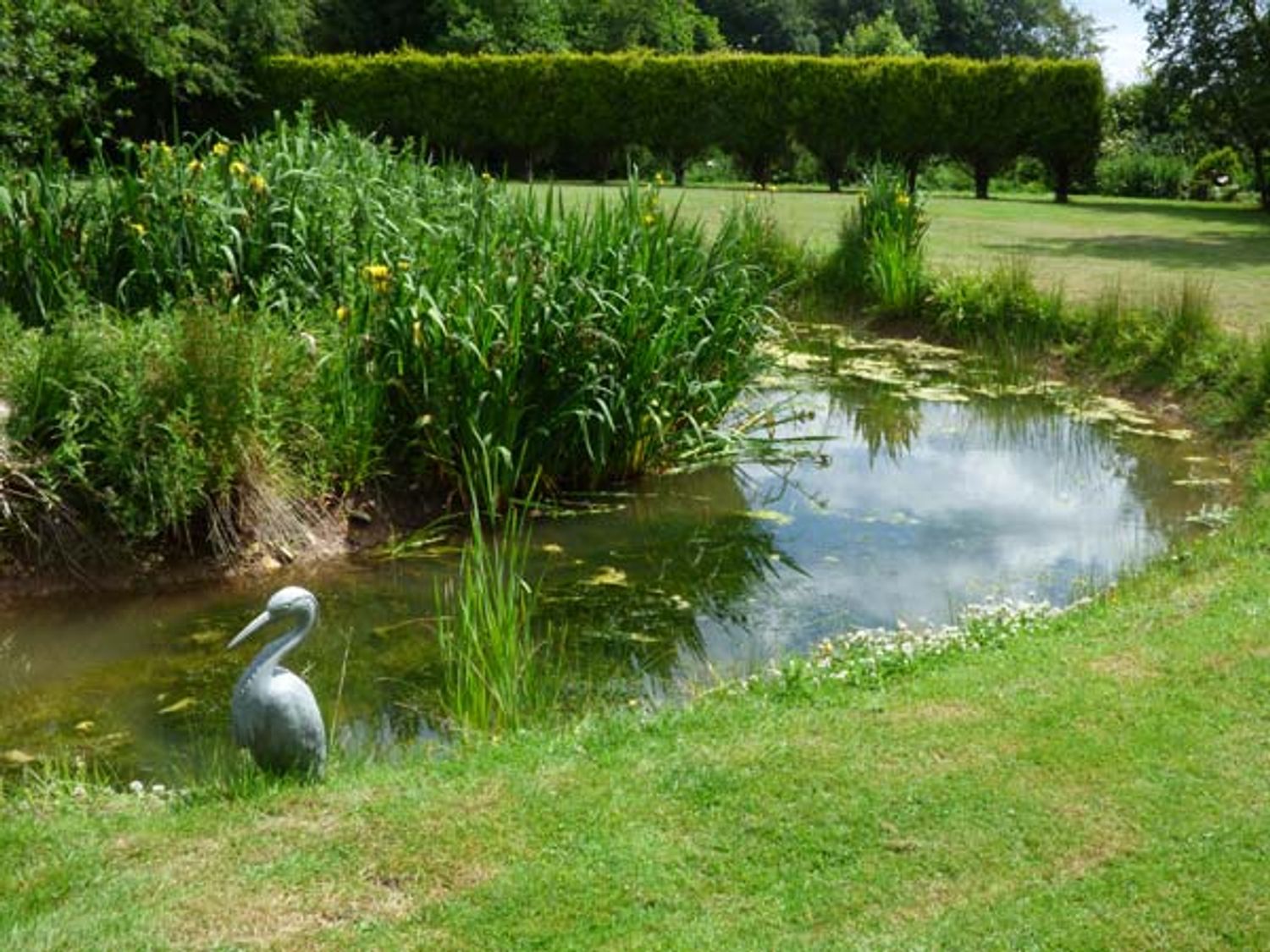 Pringles Orchard, Hert of England