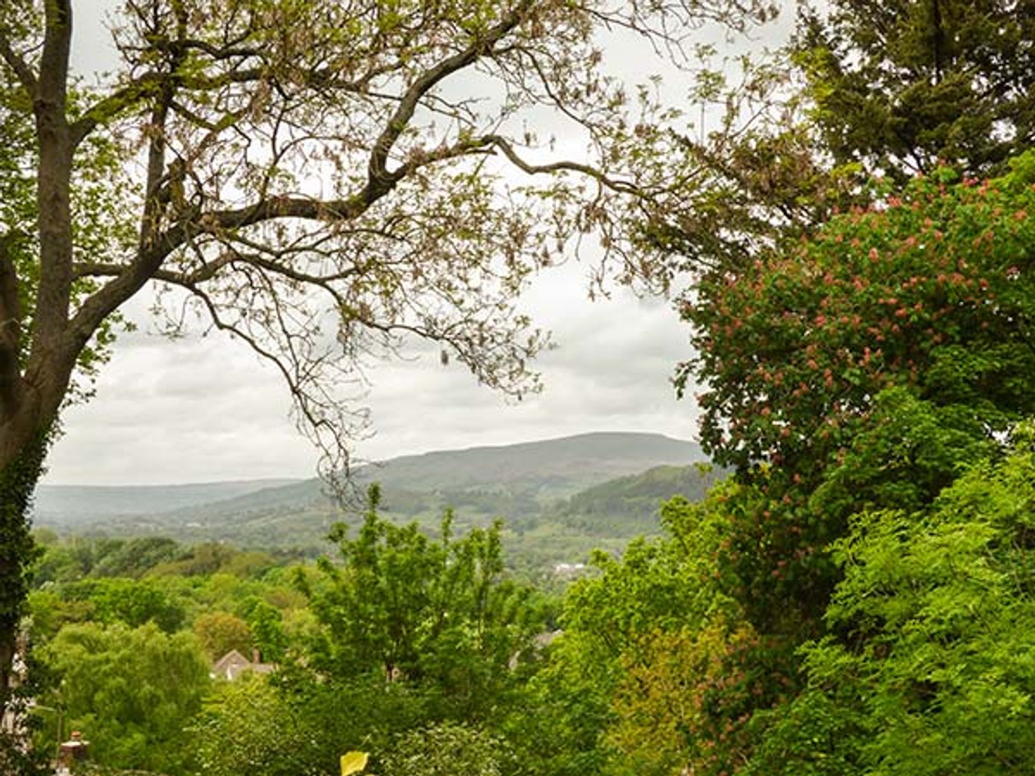 Treetops, Wales