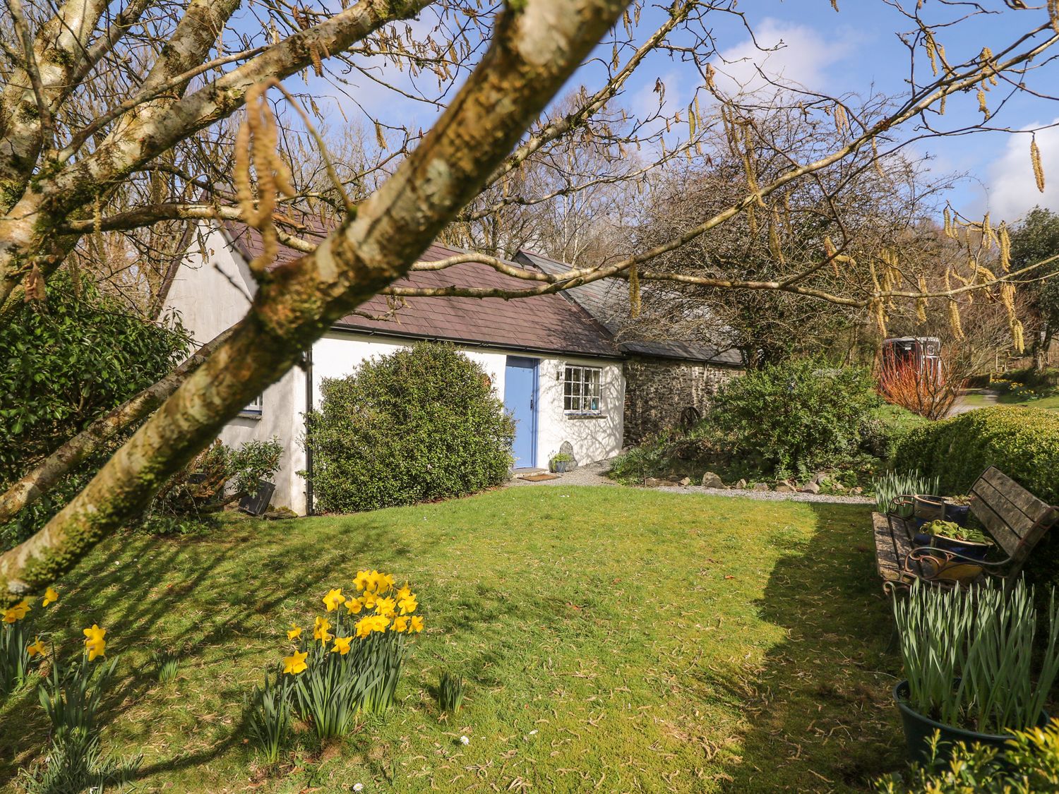 Hawthorn Cottage - South Wales - 930004 - photo 1