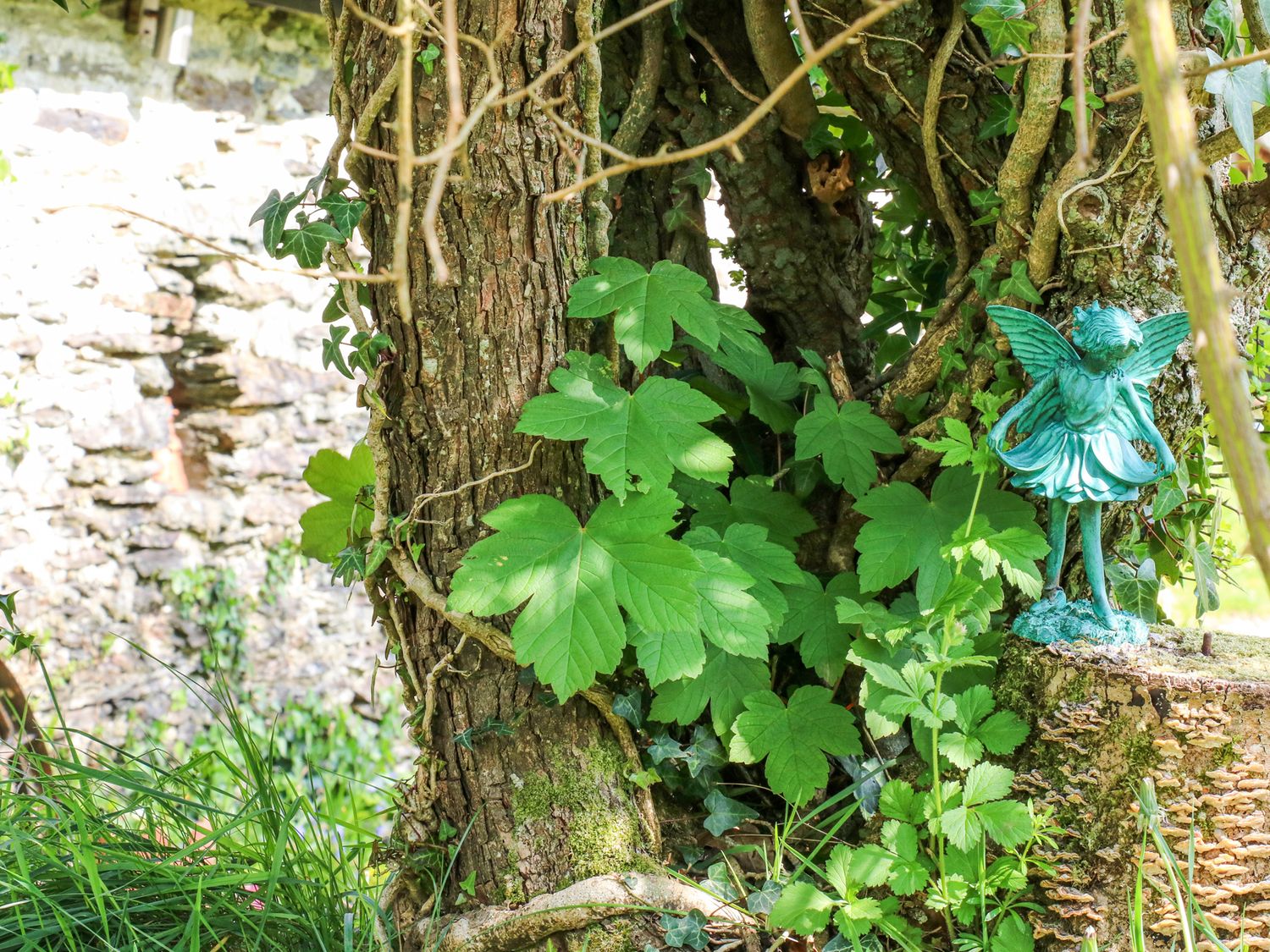 Hawthorn Cottage, Wales