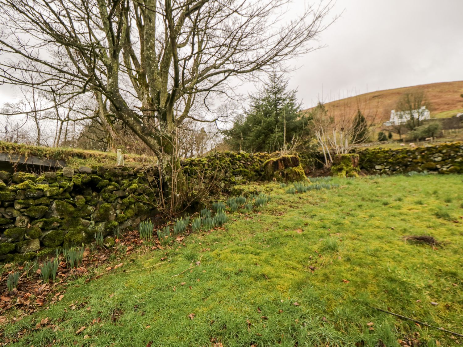 Mellfell Cottage, Cumbria