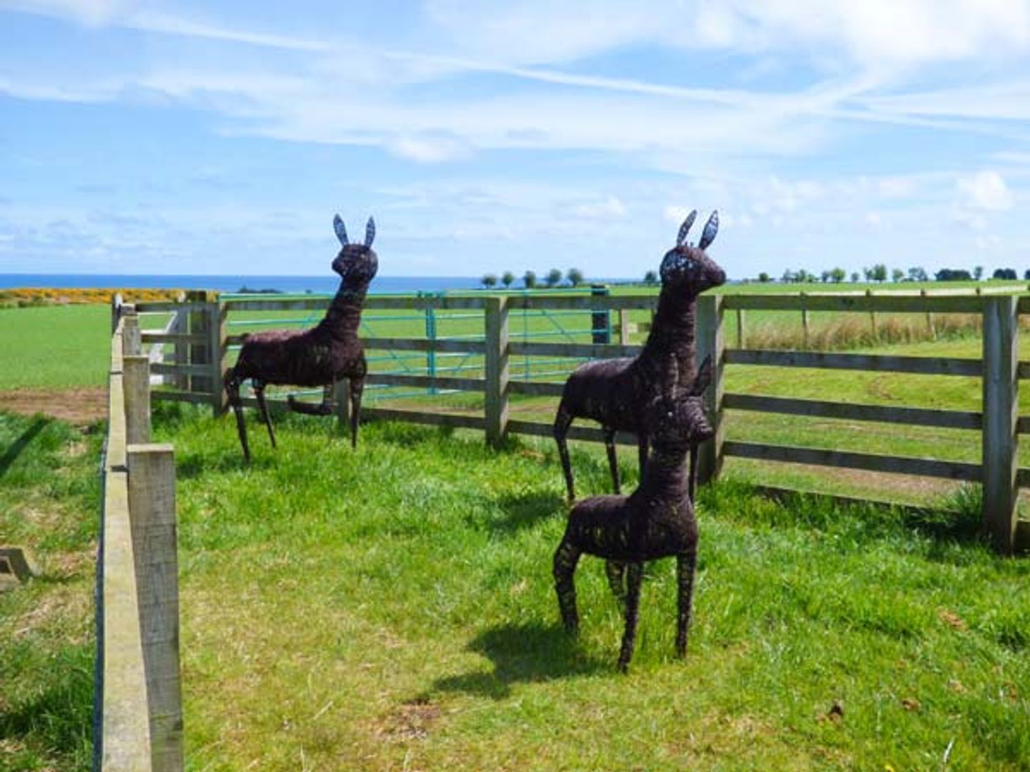 Home Stead Cottage, Northumberland
