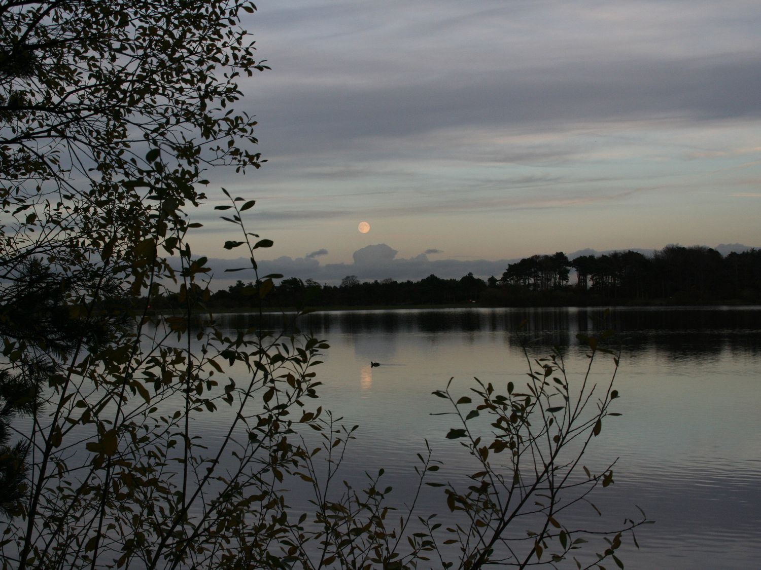 Bannister Cottage, North York Moors and Coast