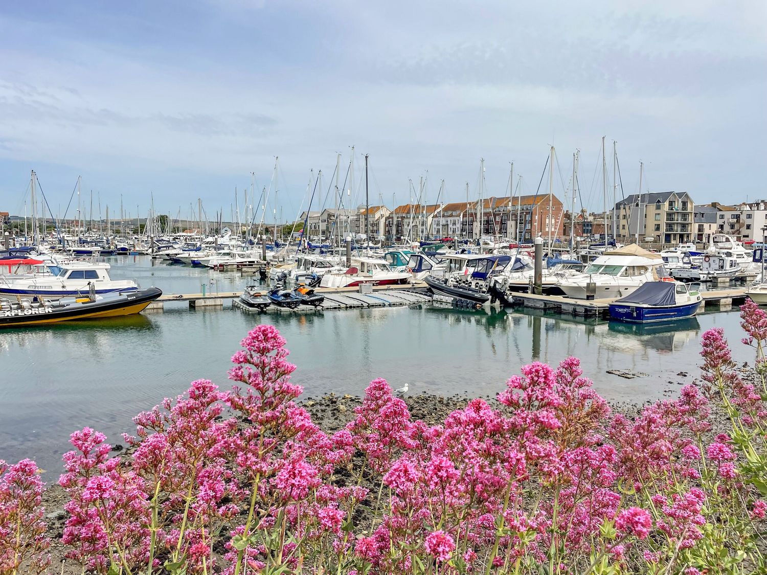 Budmouth, Dorset