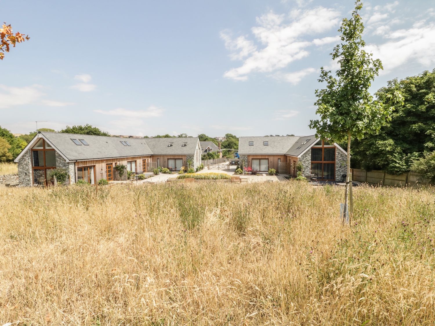 Shepherd Oak, Dorset