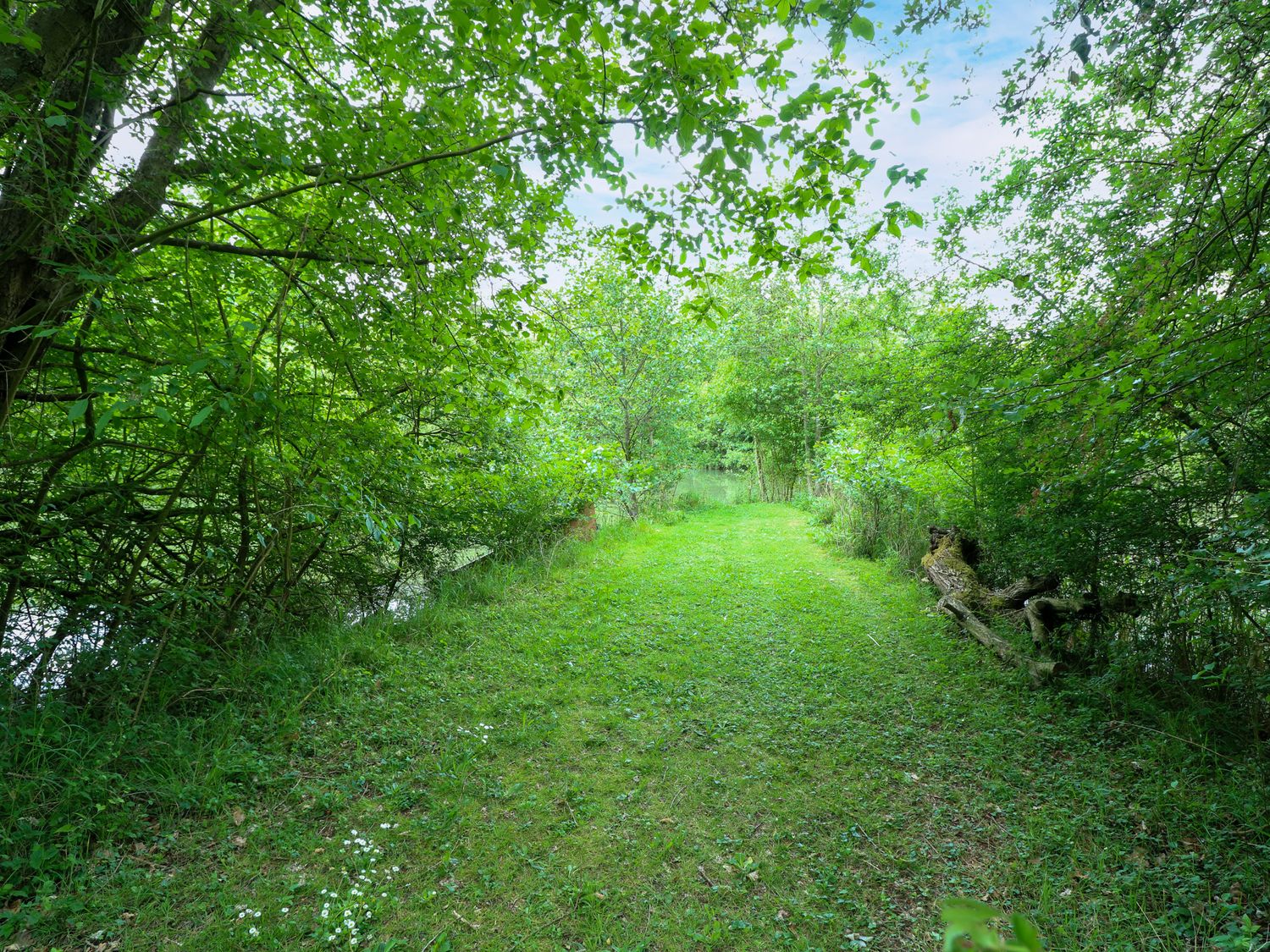Dragonfly Lodge, Norfolk